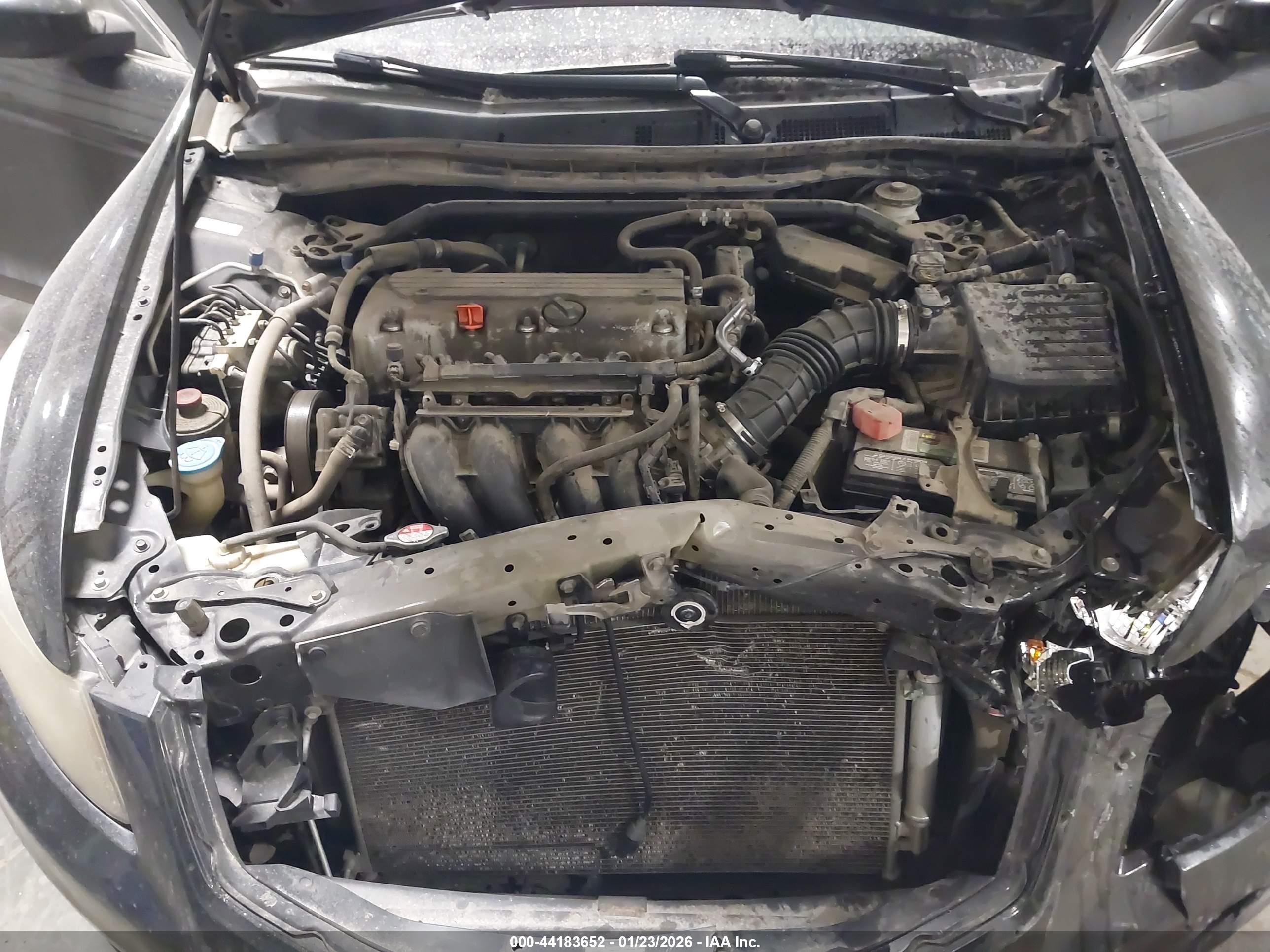 HONDA ACCORD image 10