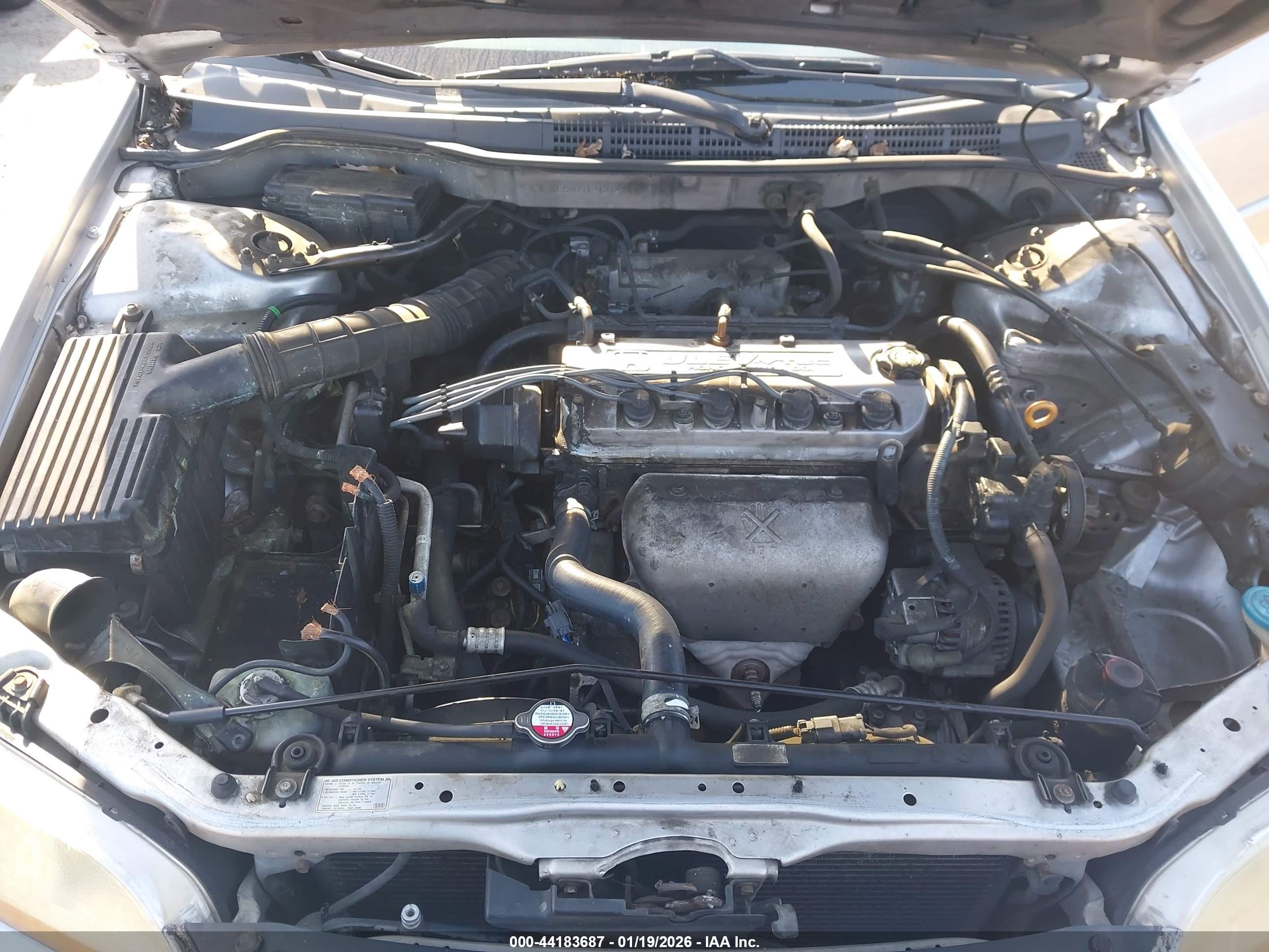 HONDA ACCORD image 10