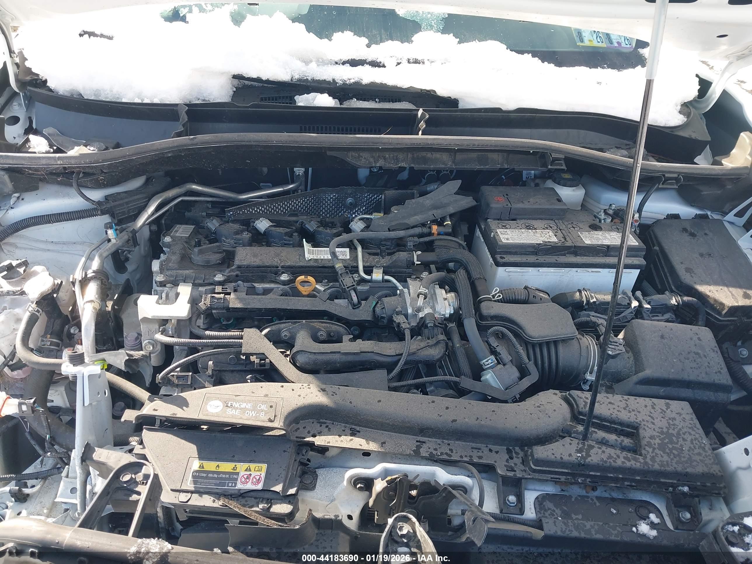 TOYOTA COROLLA image 10