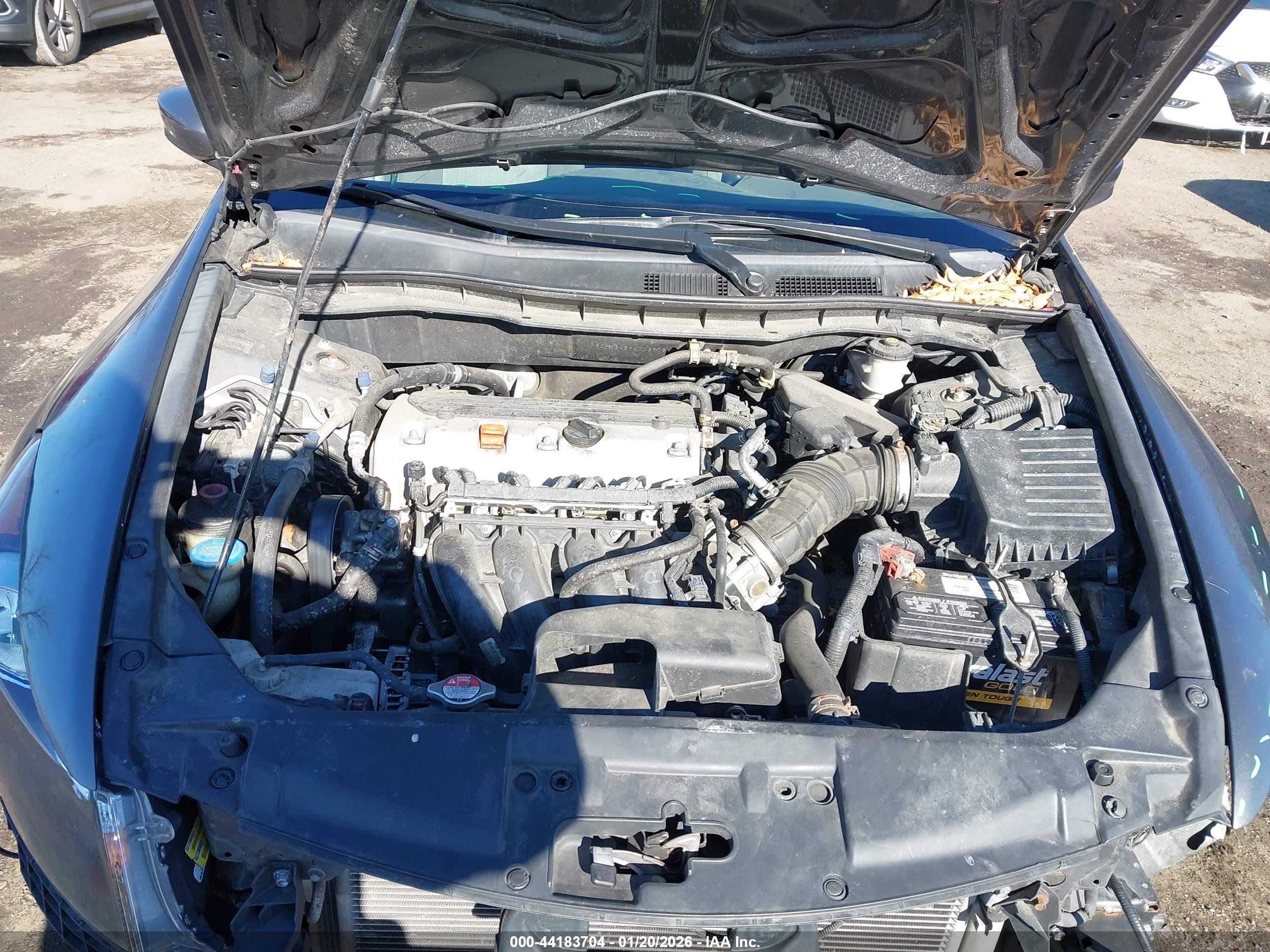 HONDA ACCORD image 10