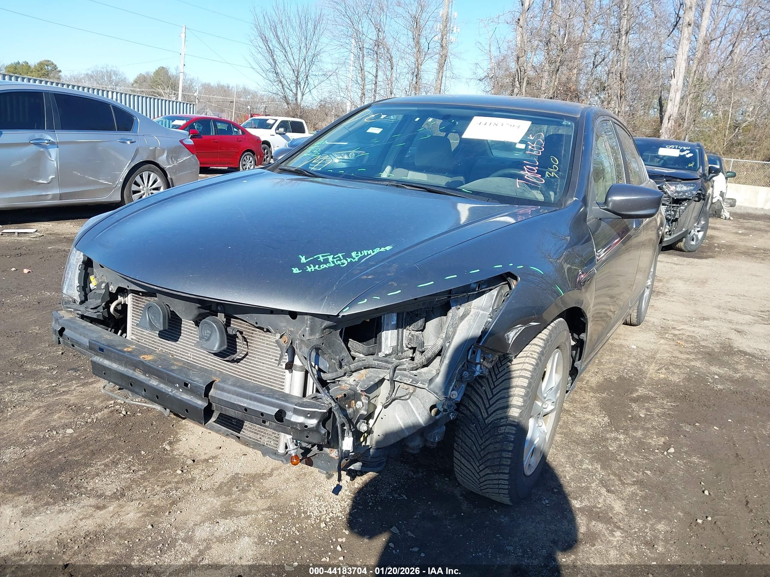 HONDA ACCORD image 6