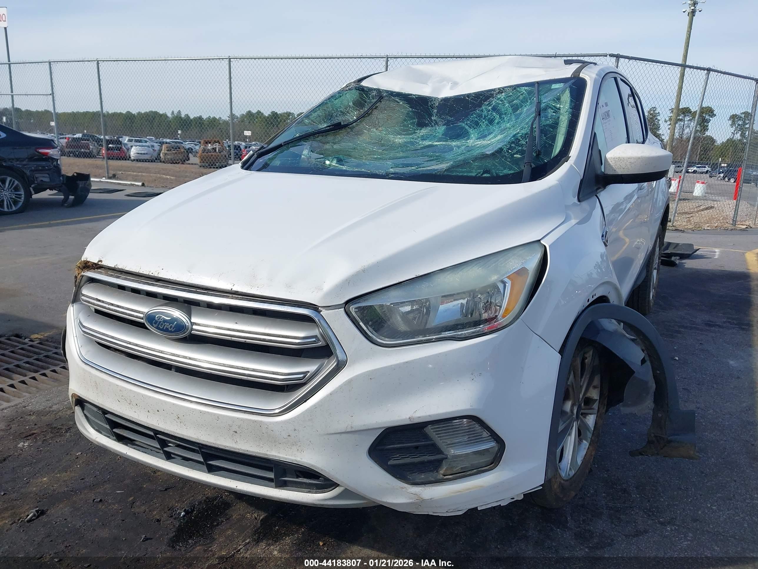 FORD ESCAPE image 6