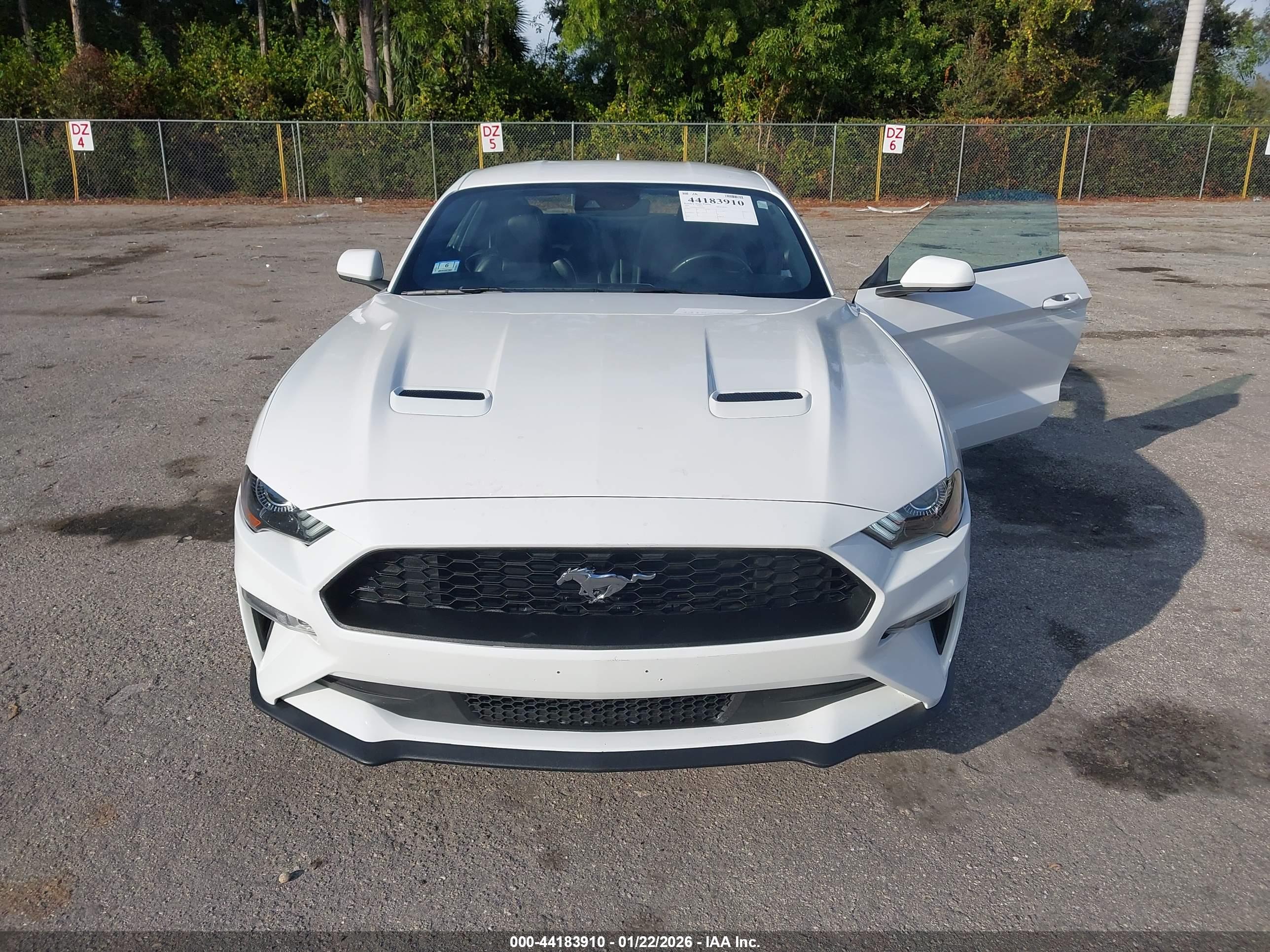 FORD MUSTANG image 6