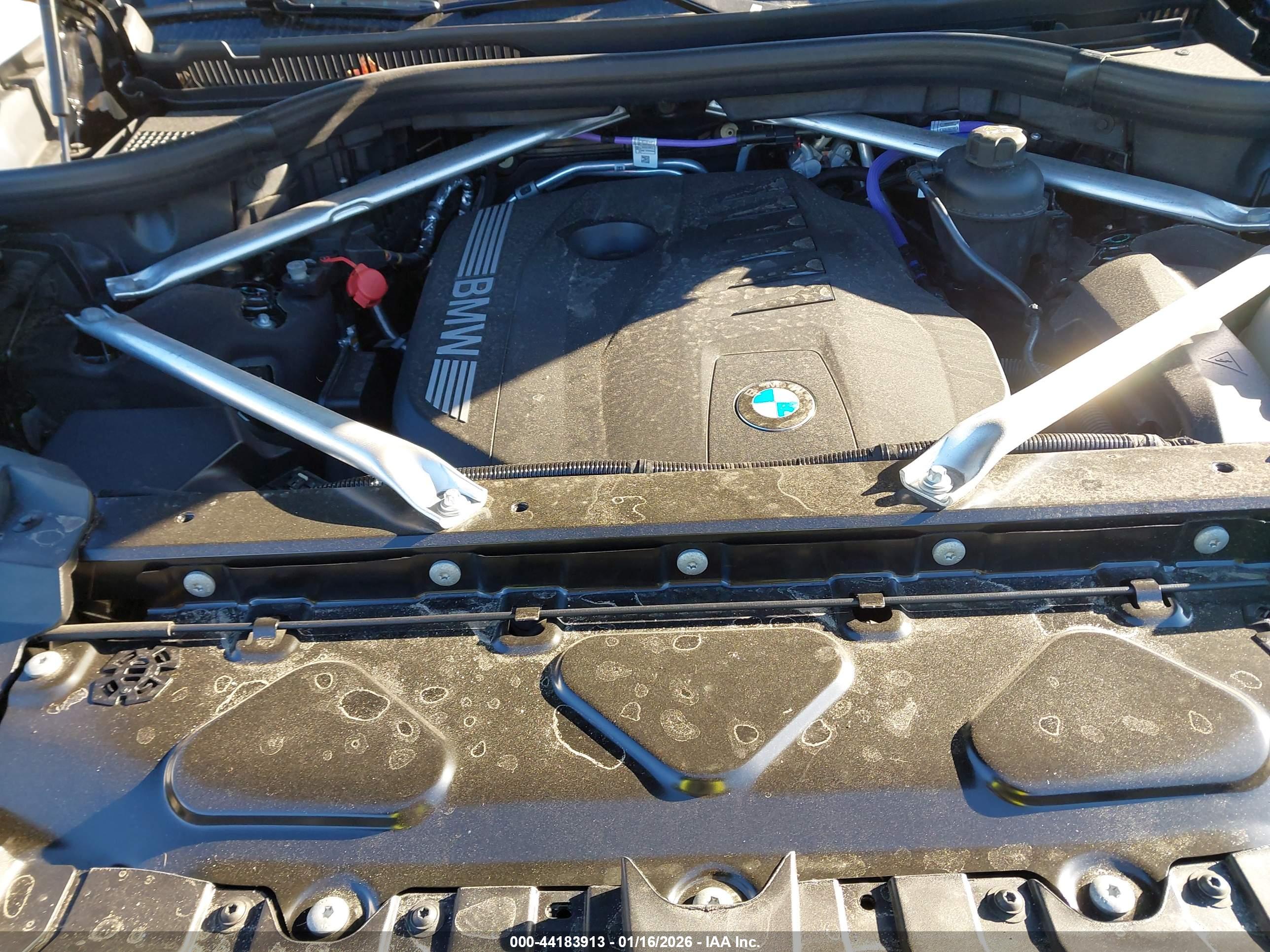 BMW X7 image 10