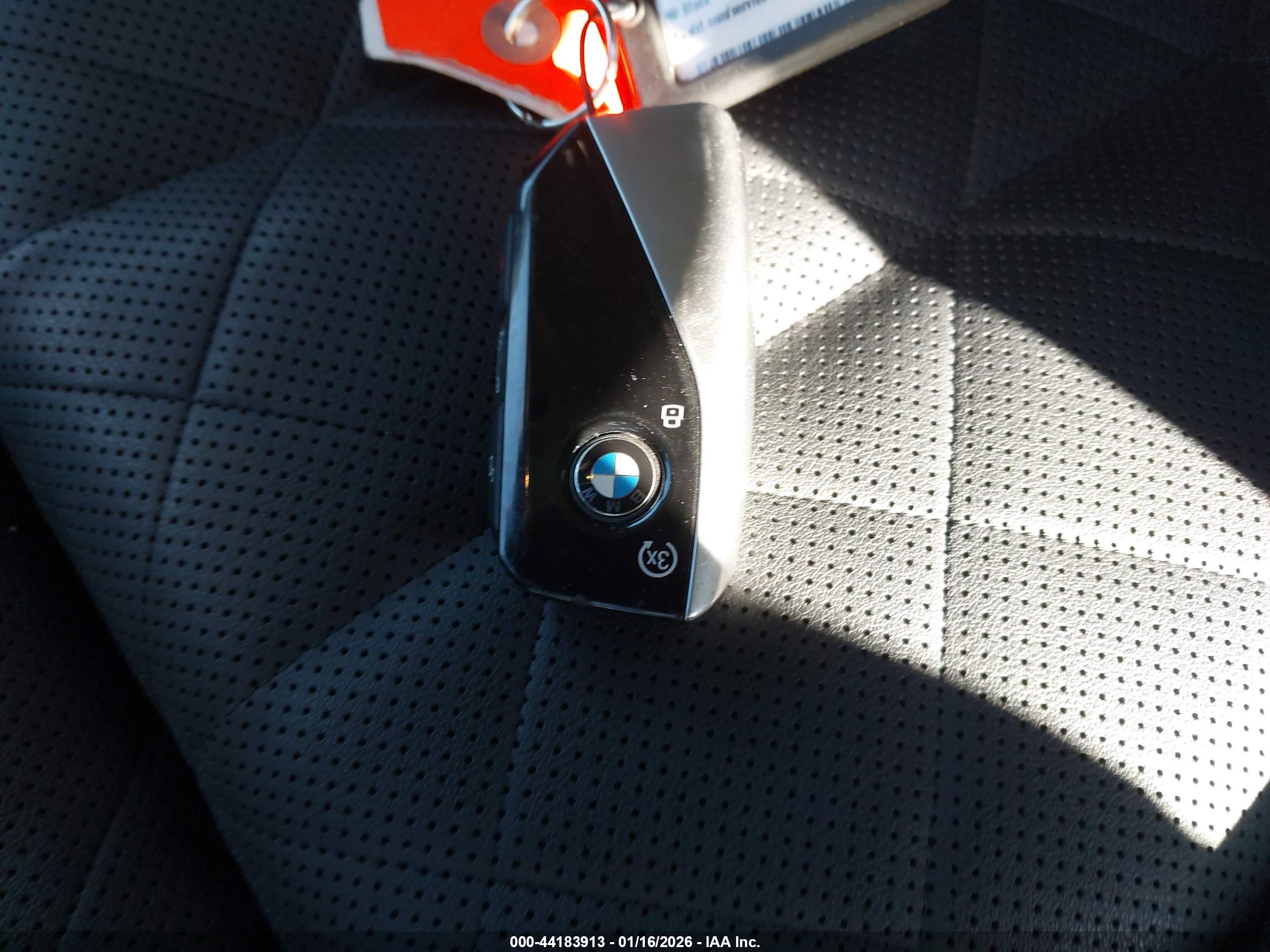 BMW X7 image 11