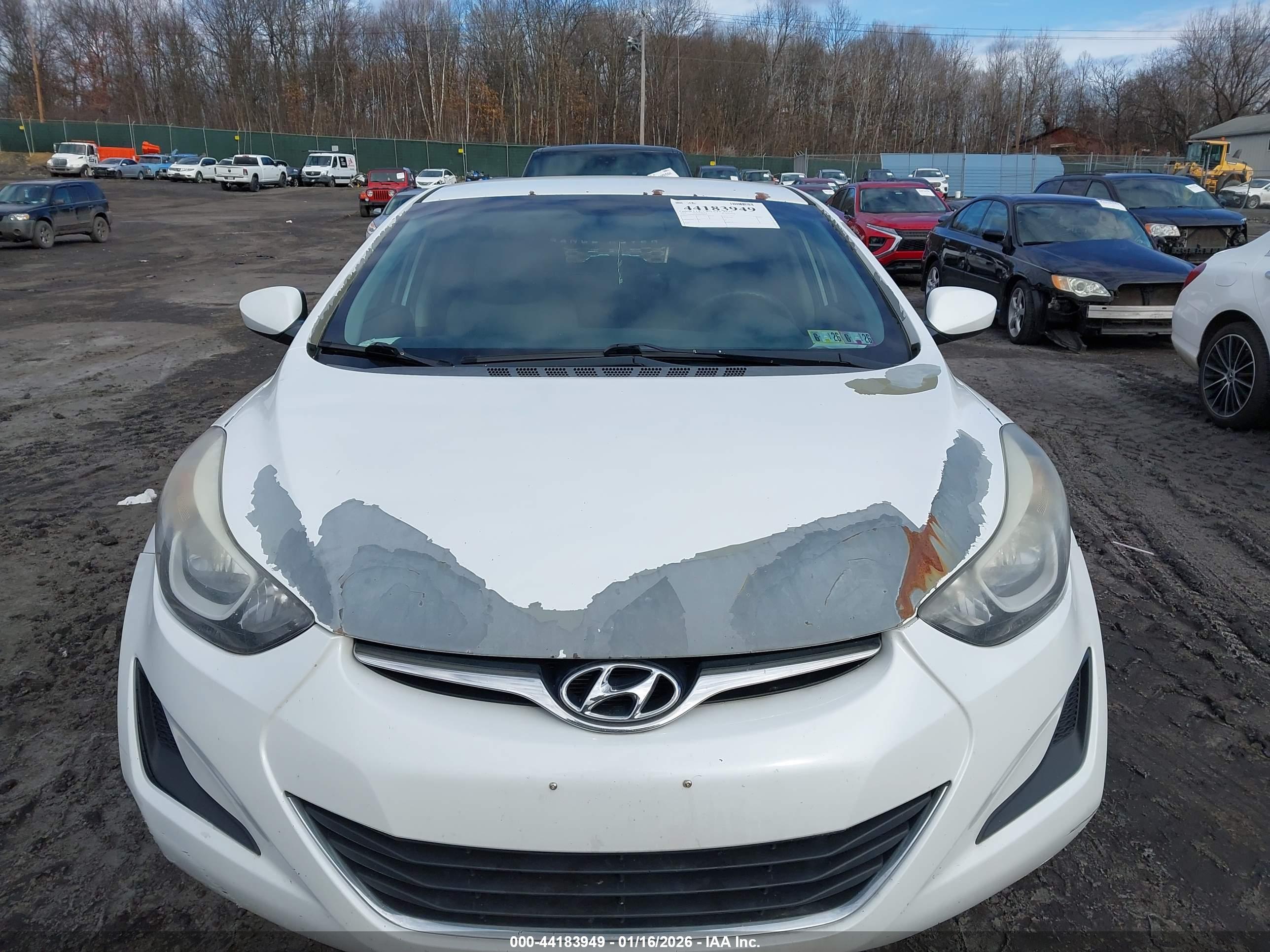 HYUNDAI ELANTRA image 6