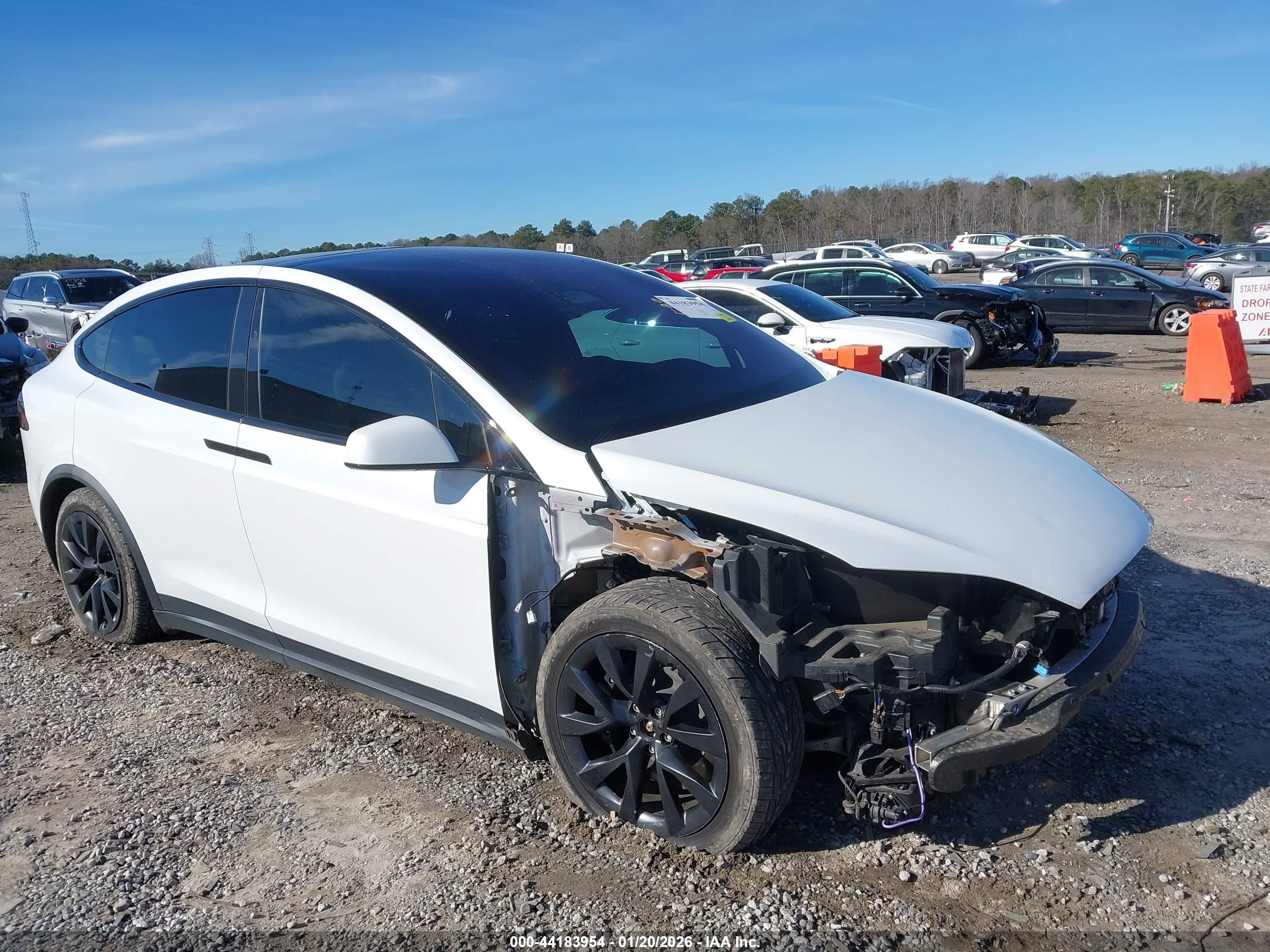 TESLA MODEL image 6