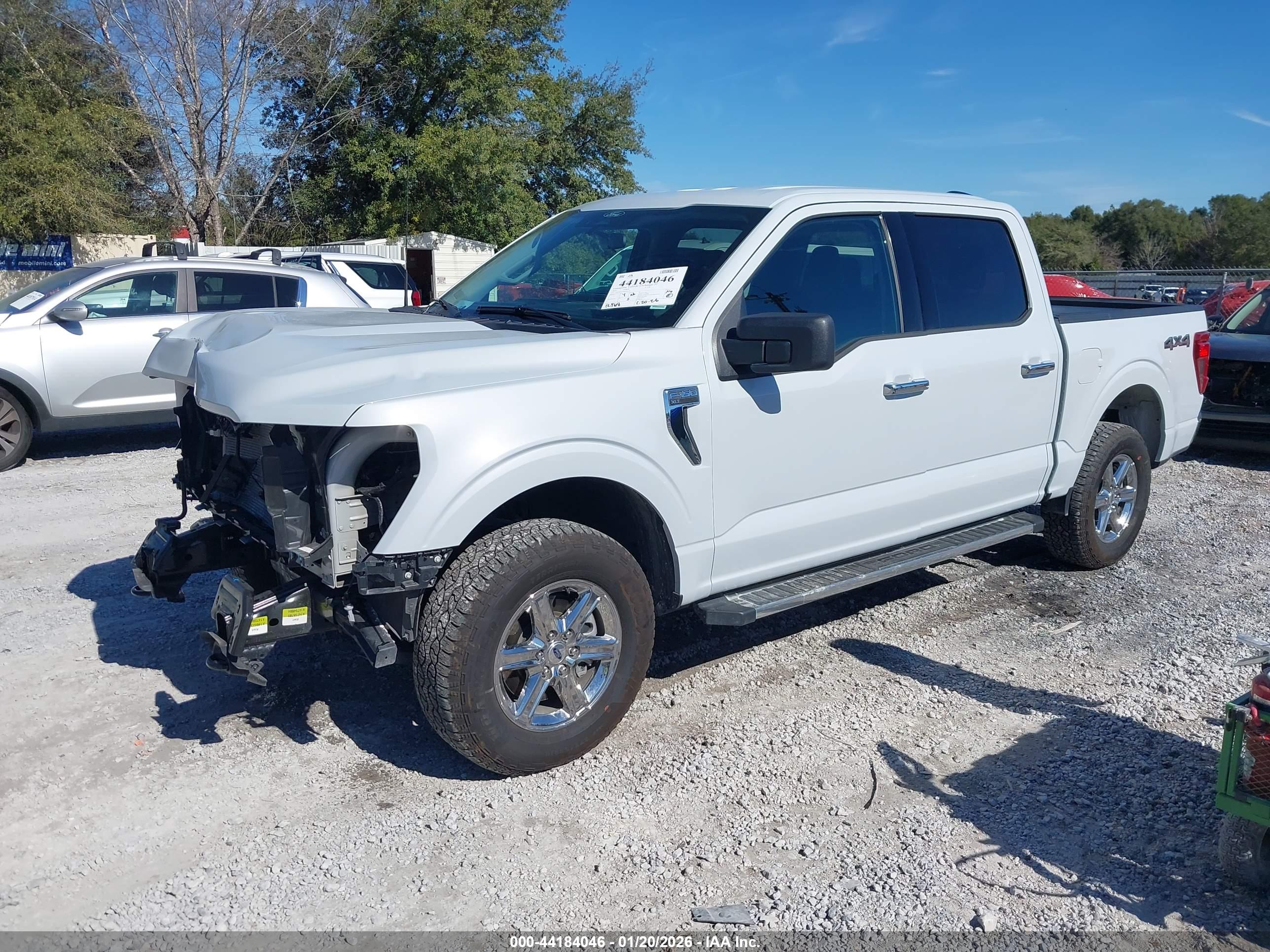 FORD F-150 image 2