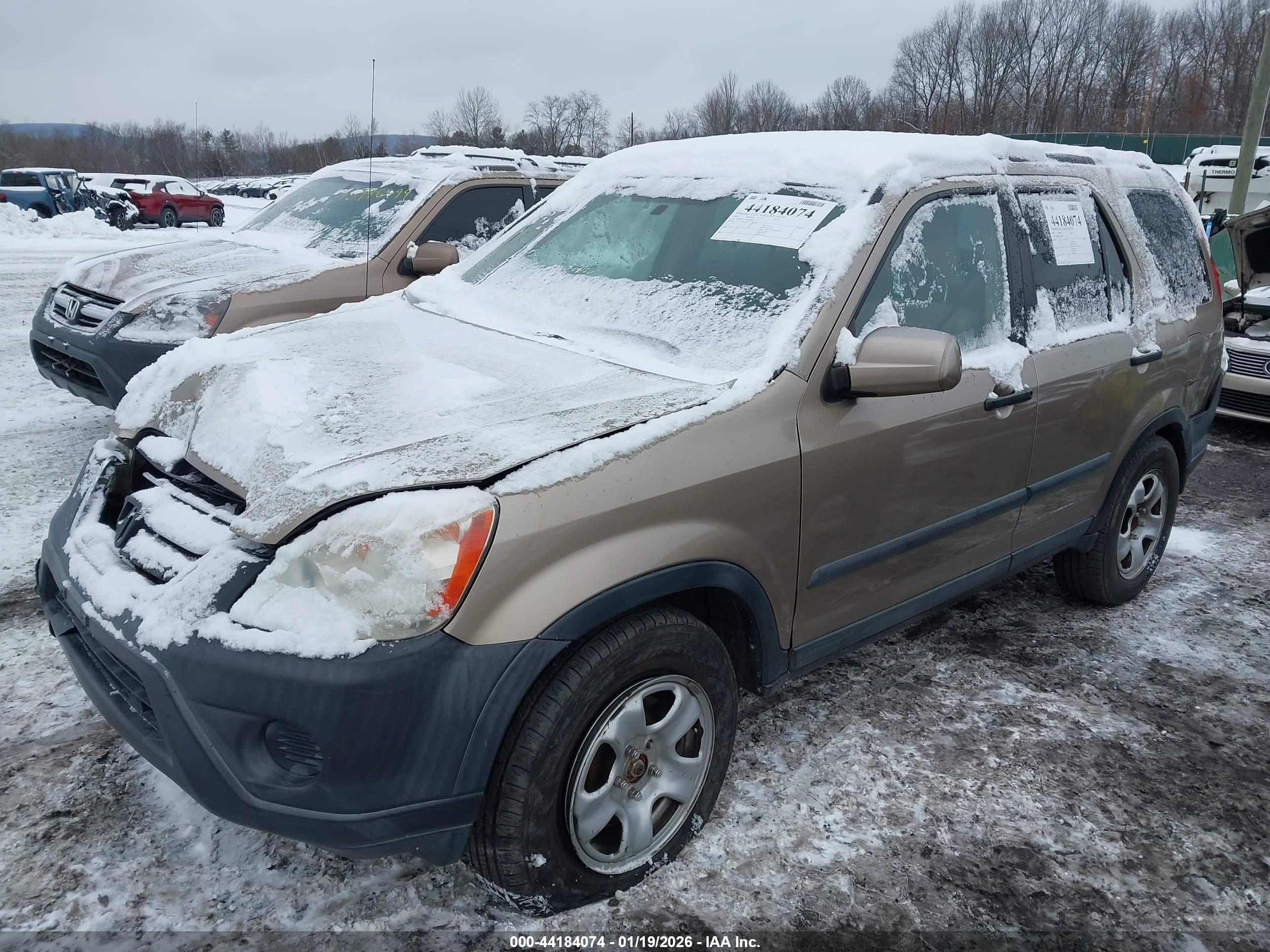 HONDA CR-V image 2