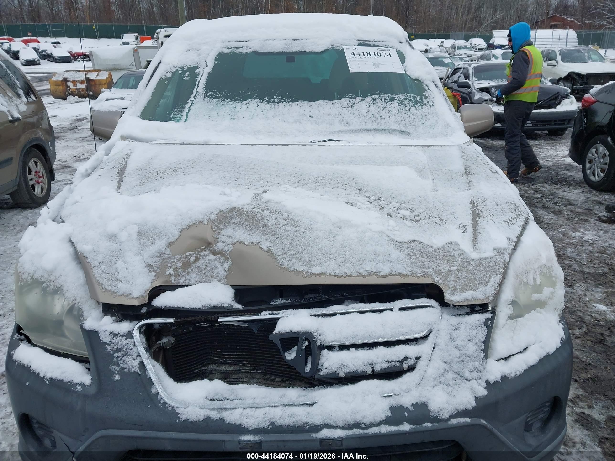 HONDA CR-V image 6