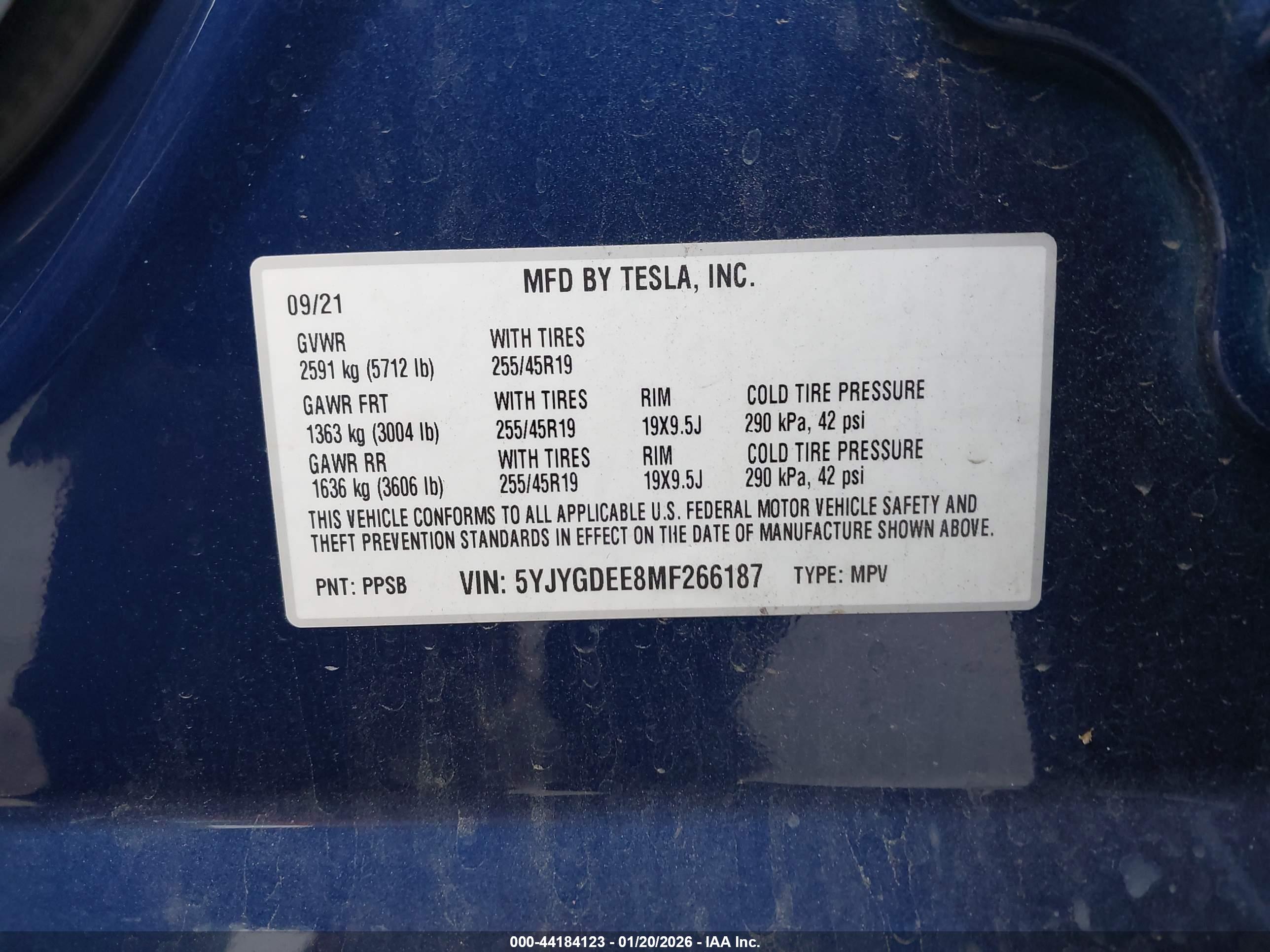 TESLA MODEL image 9