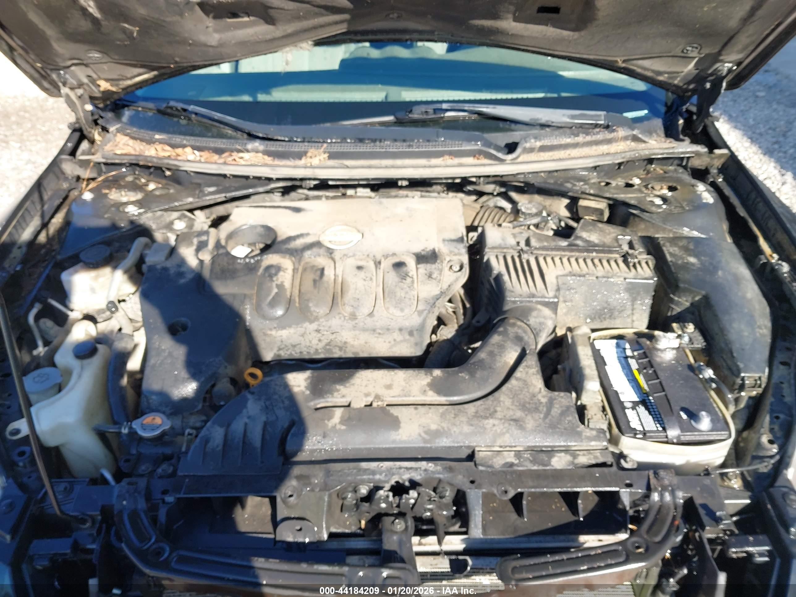 NISSAN ALTIMA image 10