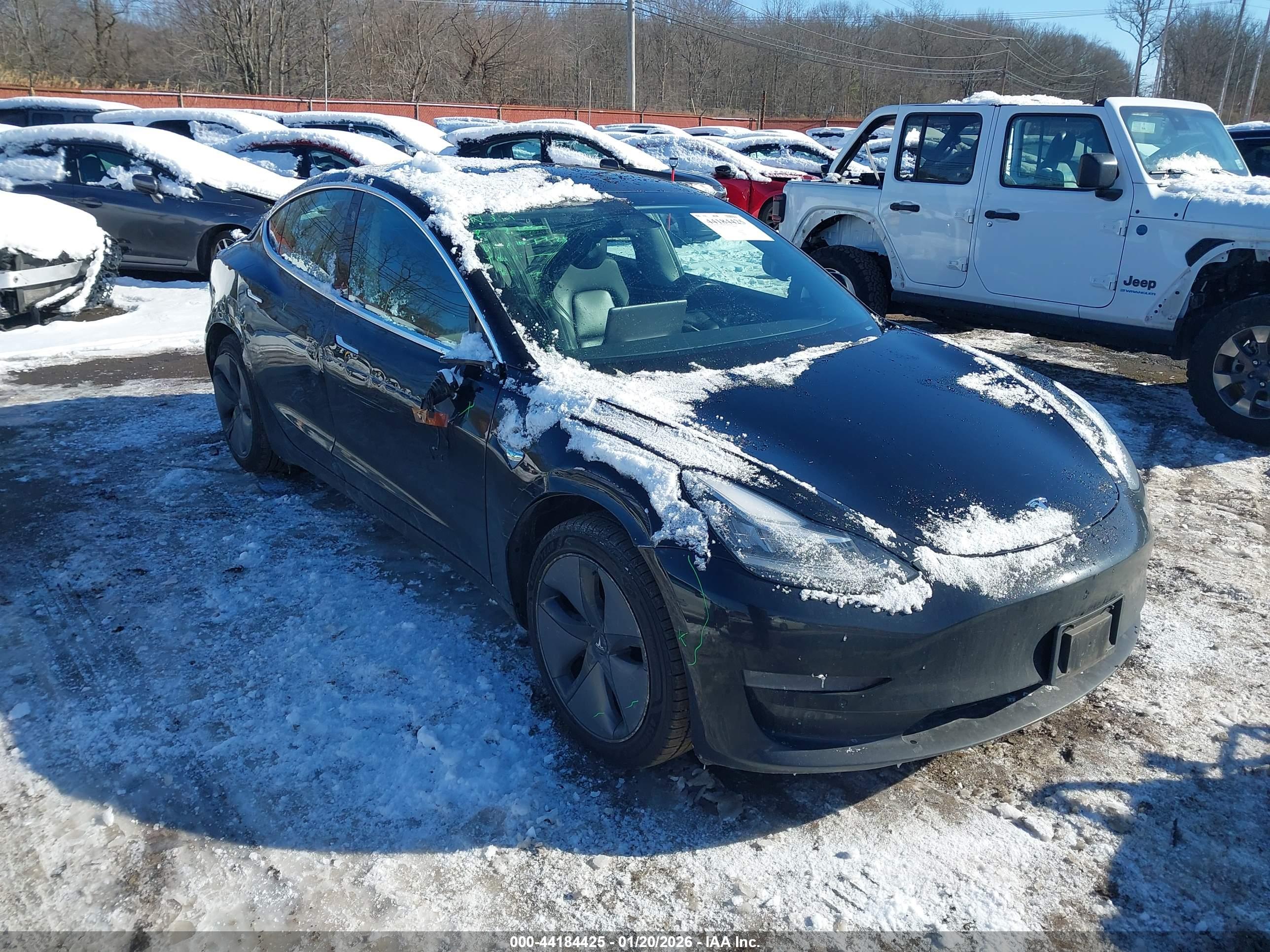 TESLA MODEL image 6