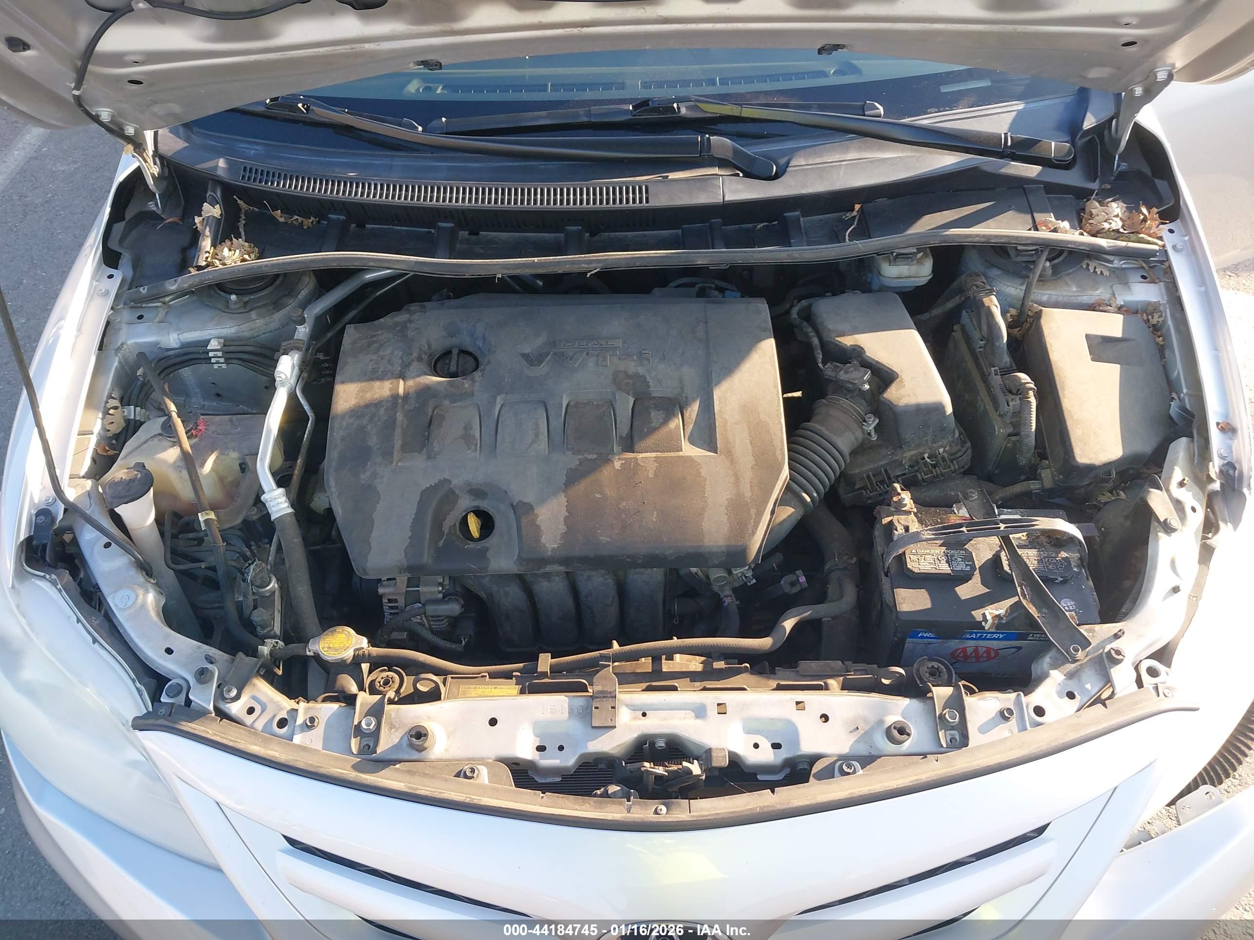 TOYOTA COROLLA image 10