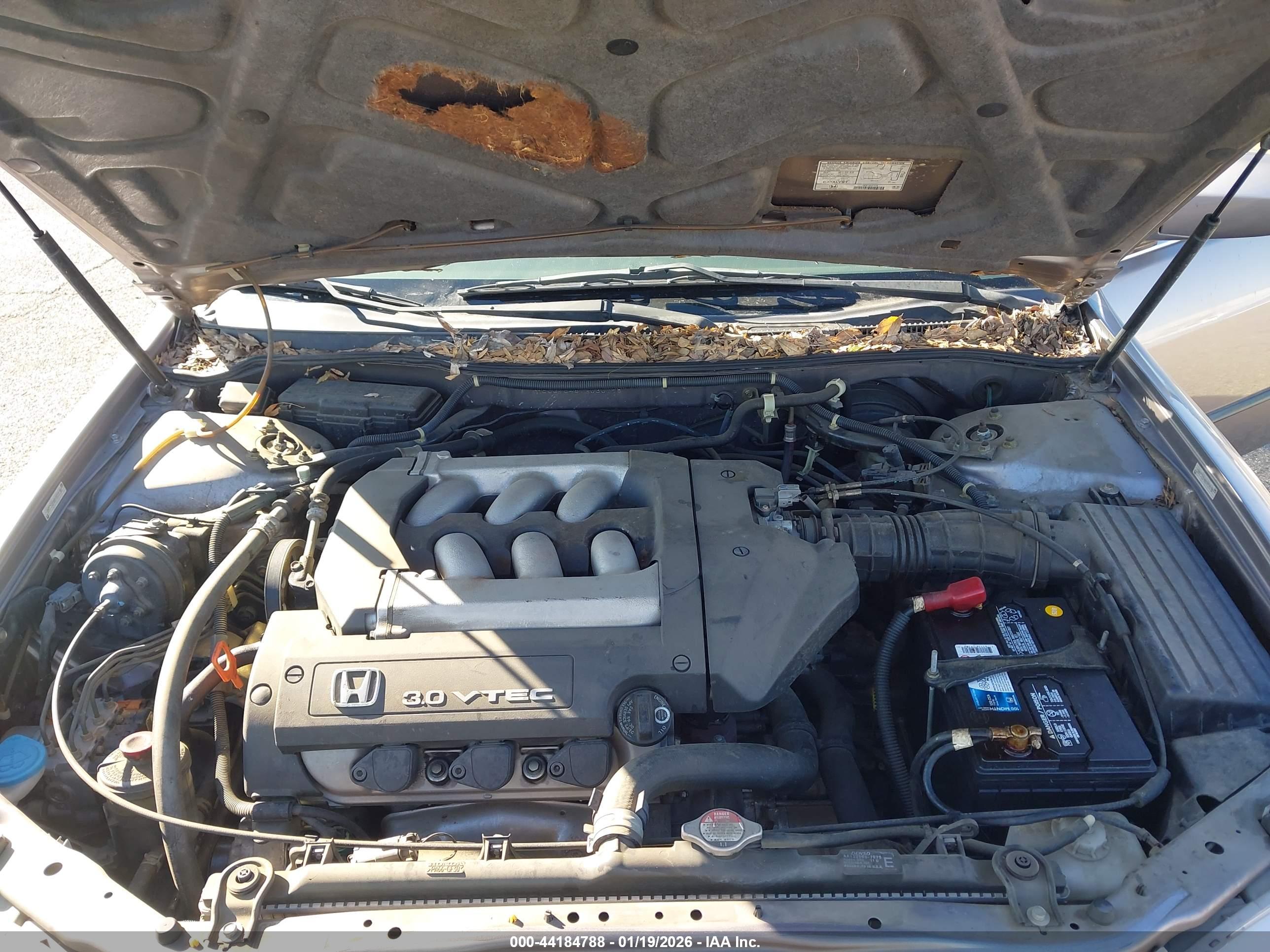 HONDA ACCORD image 10