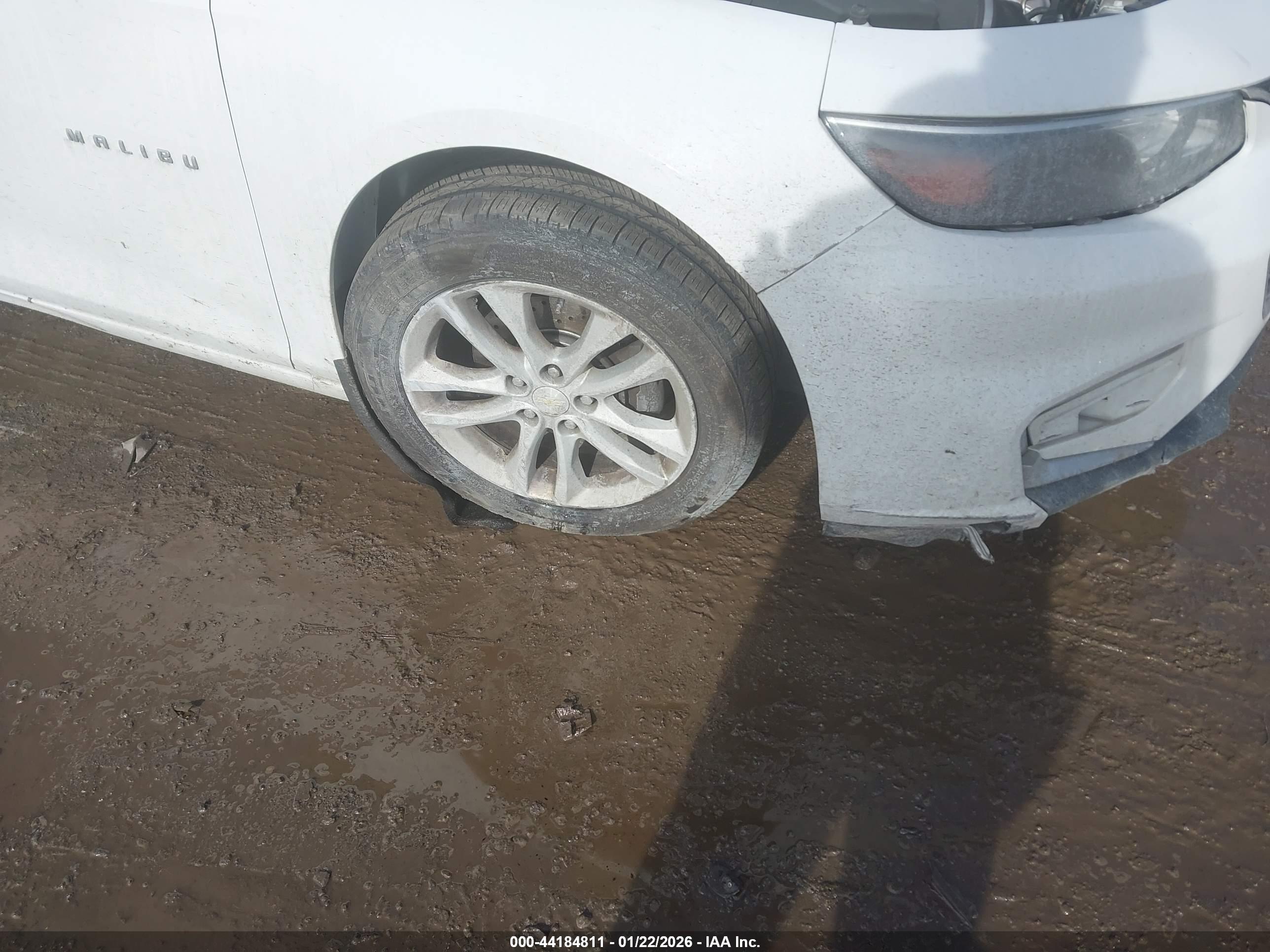 CHEVROLET MALIBU image 6