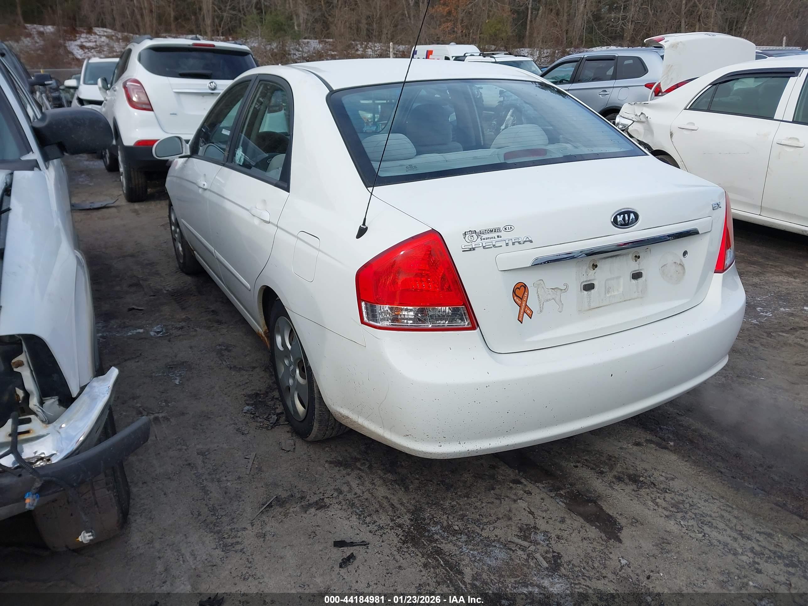 KIA SPECTRA image 3