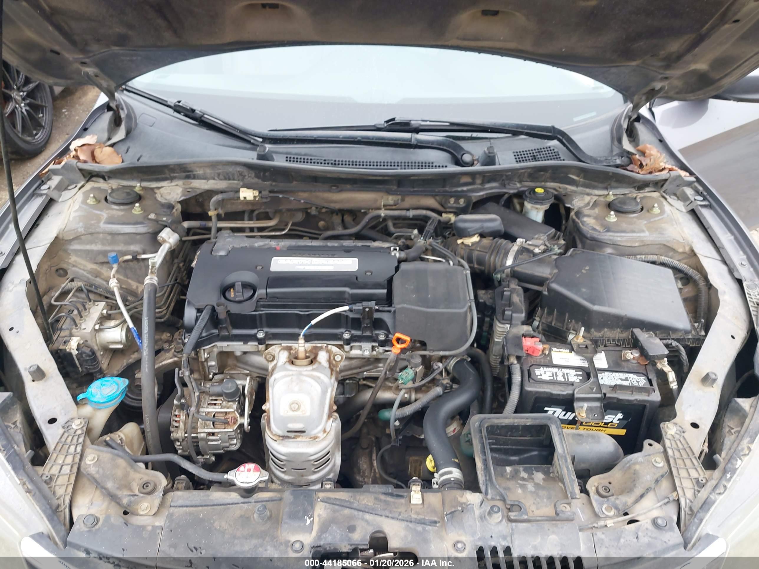 HONDA ACCORD image 10