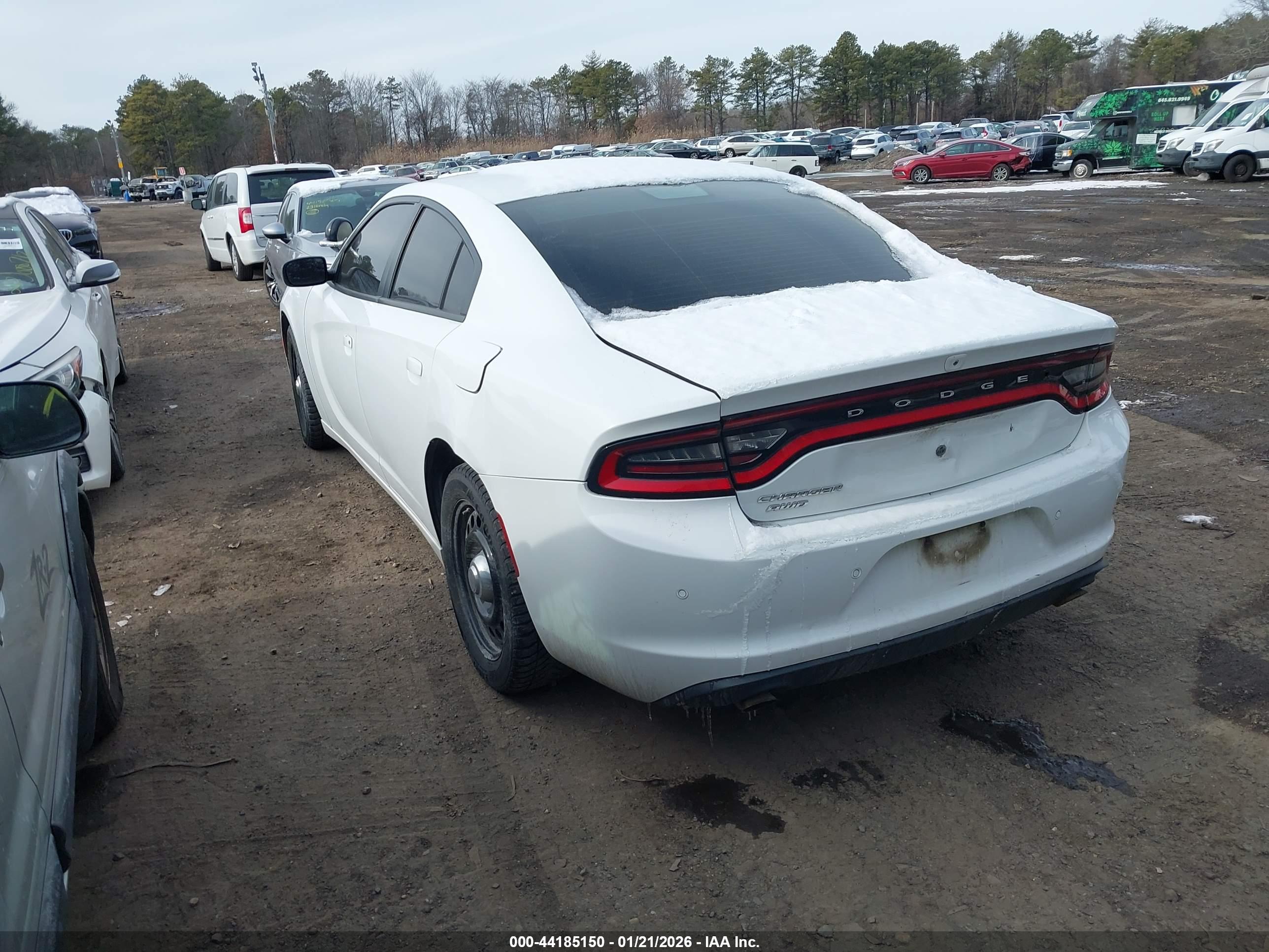 DODGE CHARGER image 3