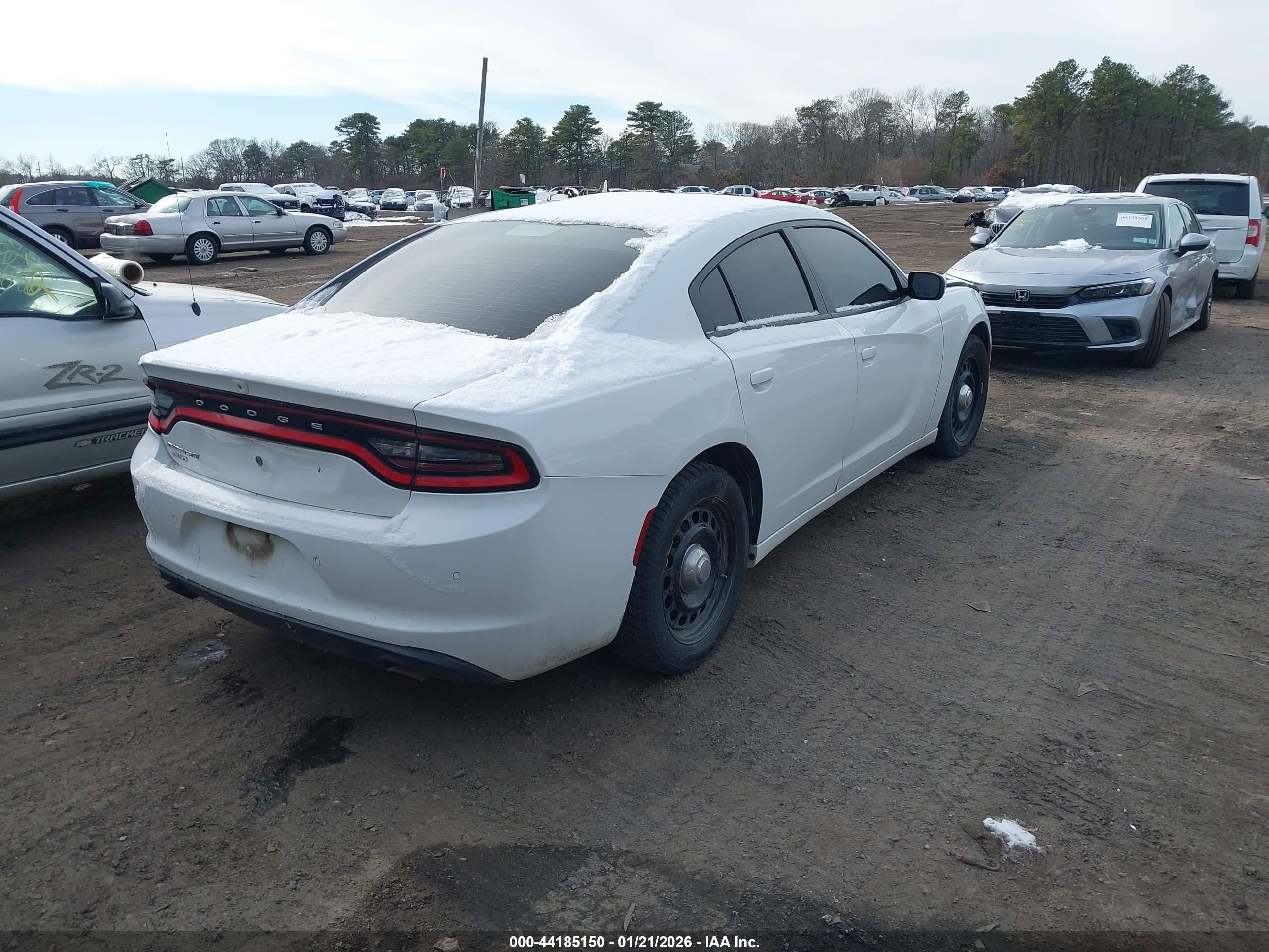 DODGE CHARGER image 4