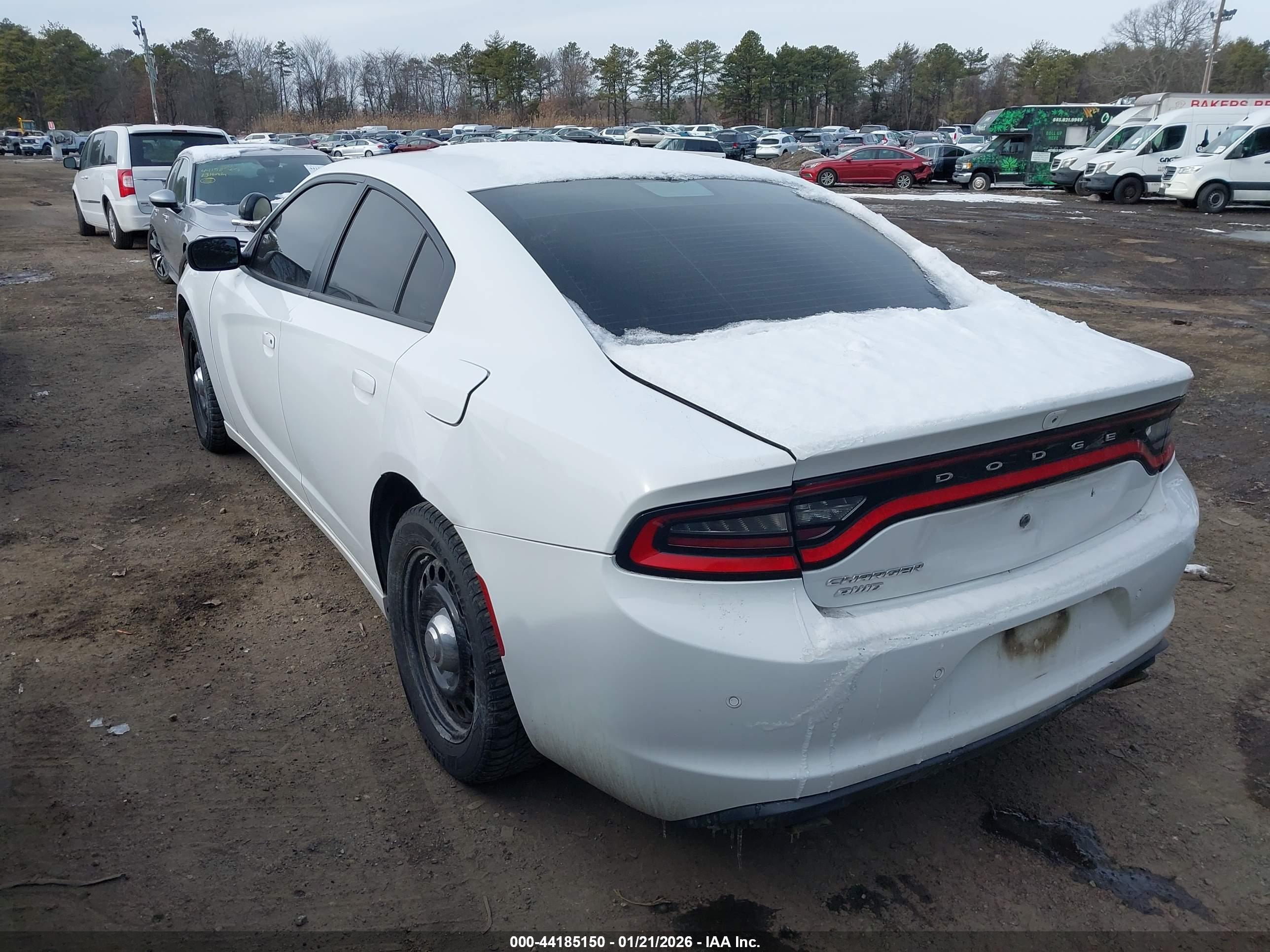 DODGE CHARGER image 6