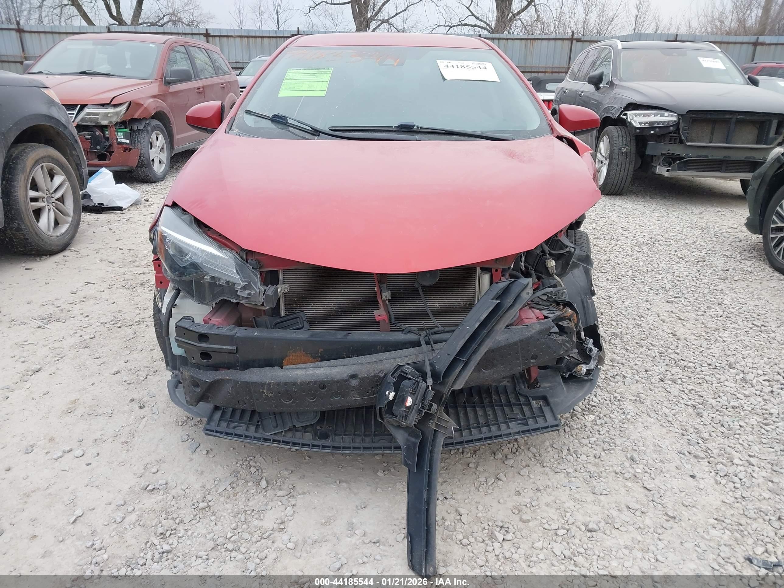 TOYOTA COROLLA image 6