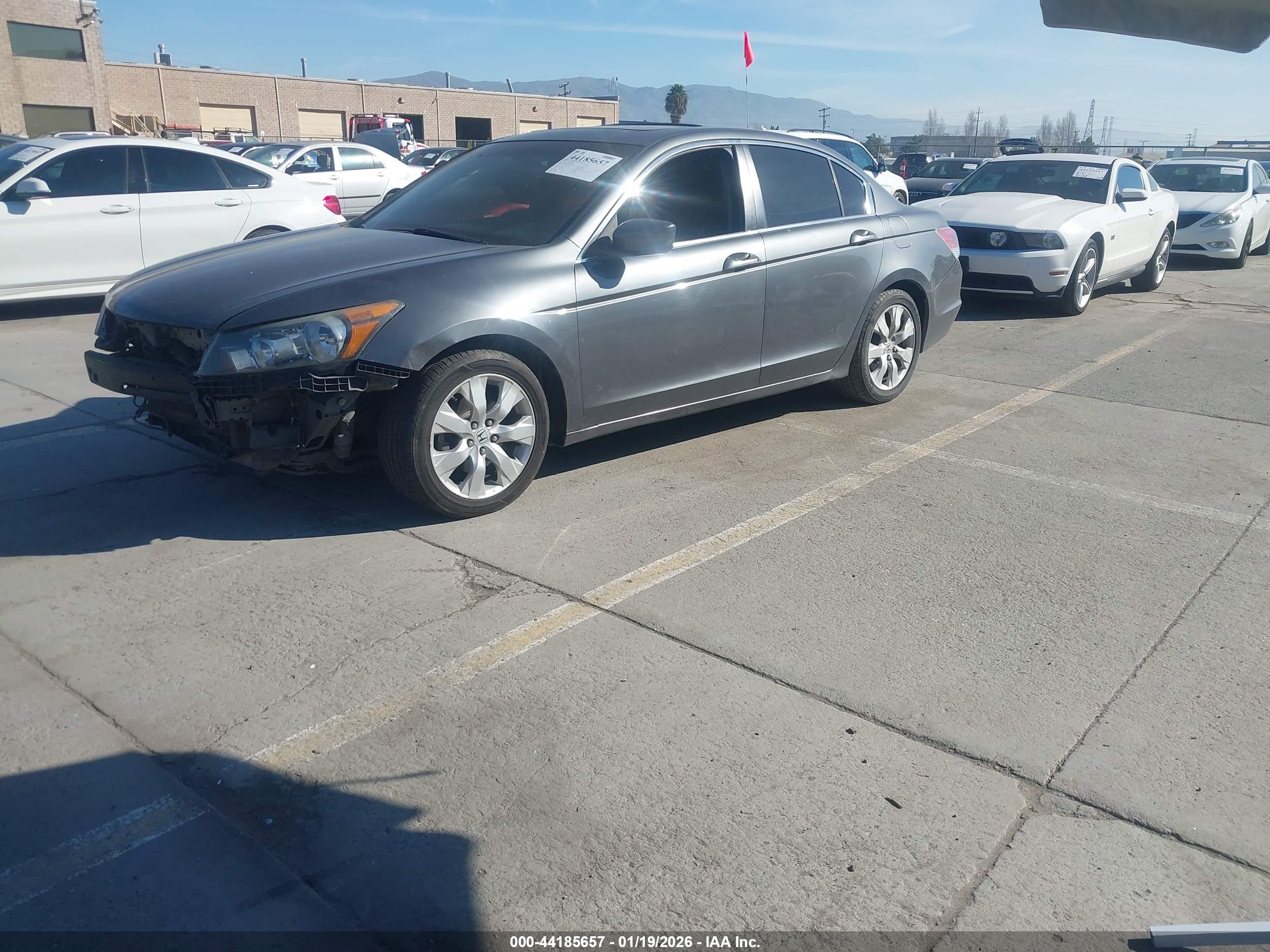 HONDA ACCORD image 2