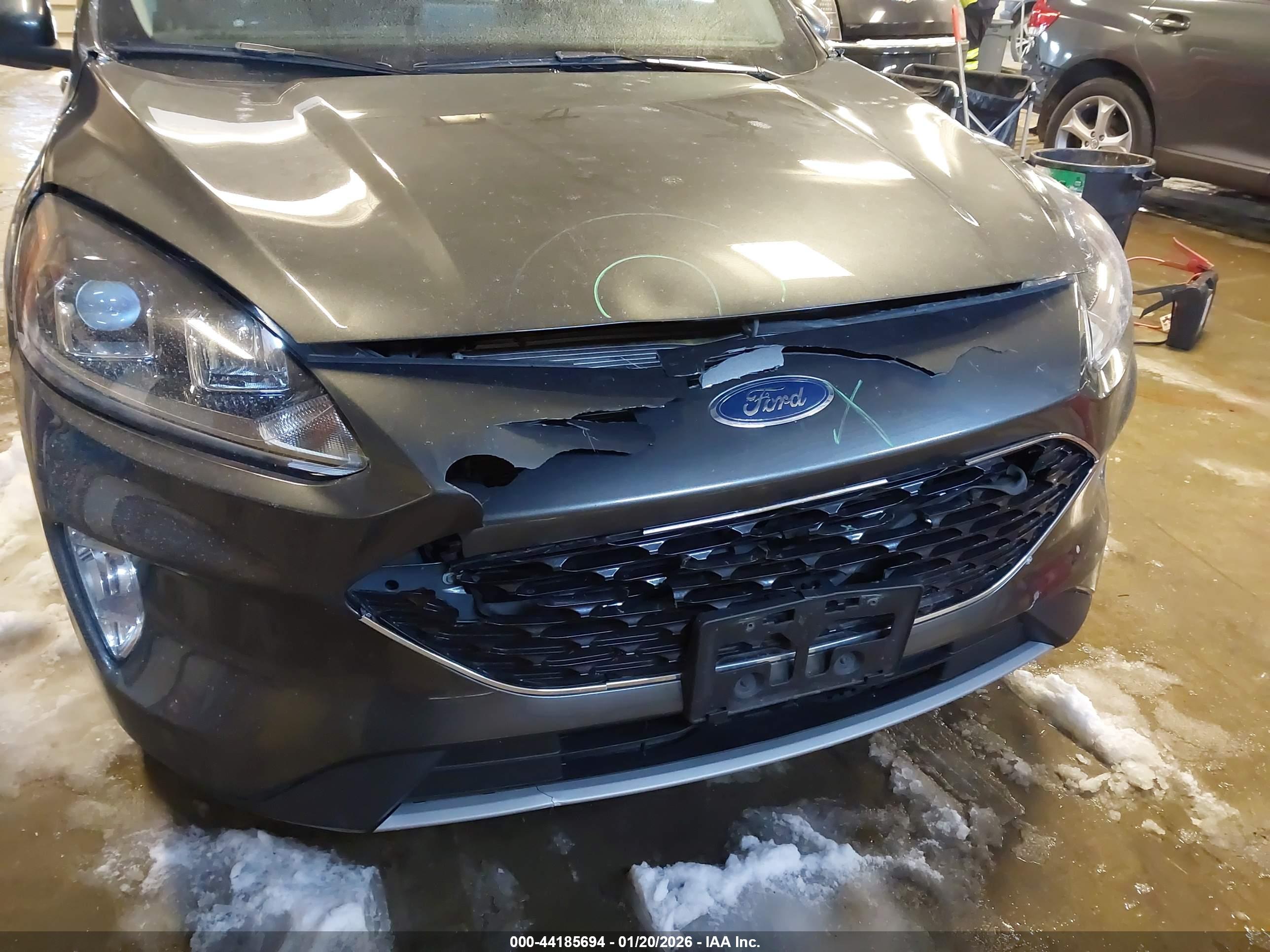 FORD ESCAPE image 6