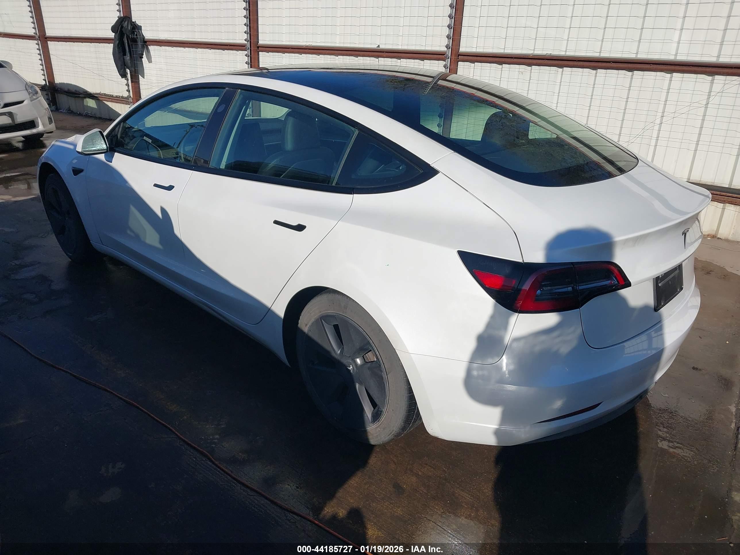 TESLA MODEL image 3