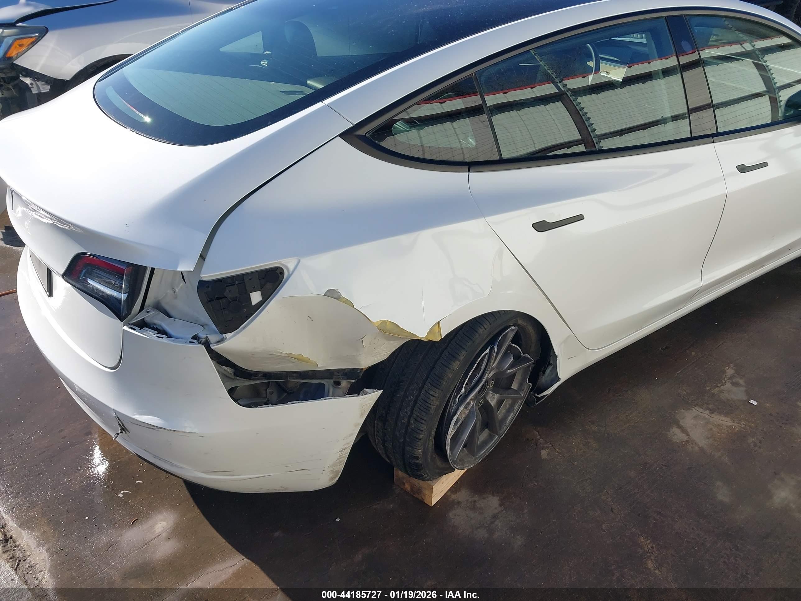 TESLA MODEL image 6