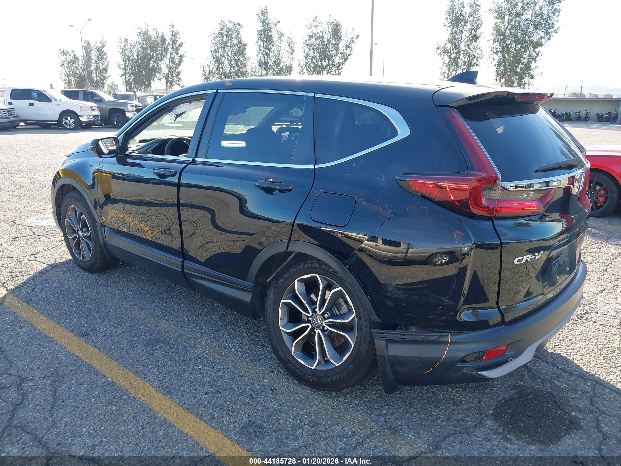 HONDA CR-V image 3