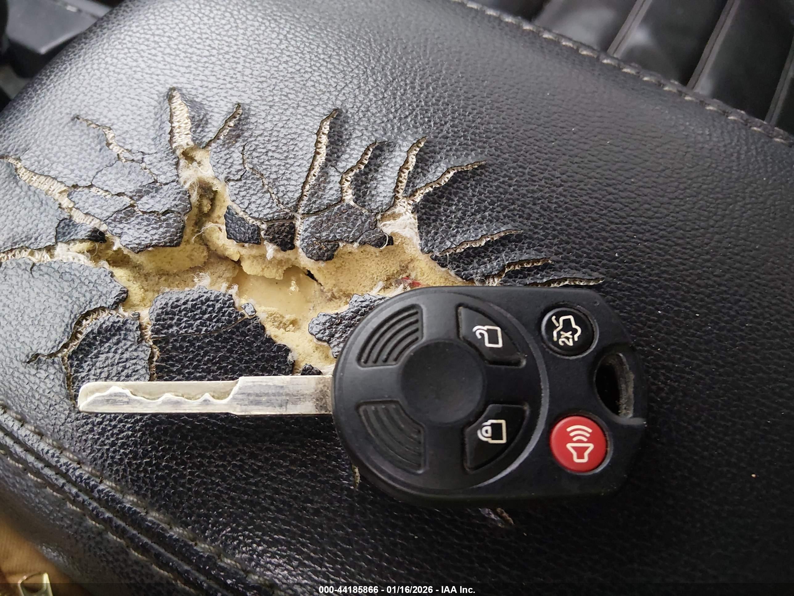 FORD ESCAPE image 11