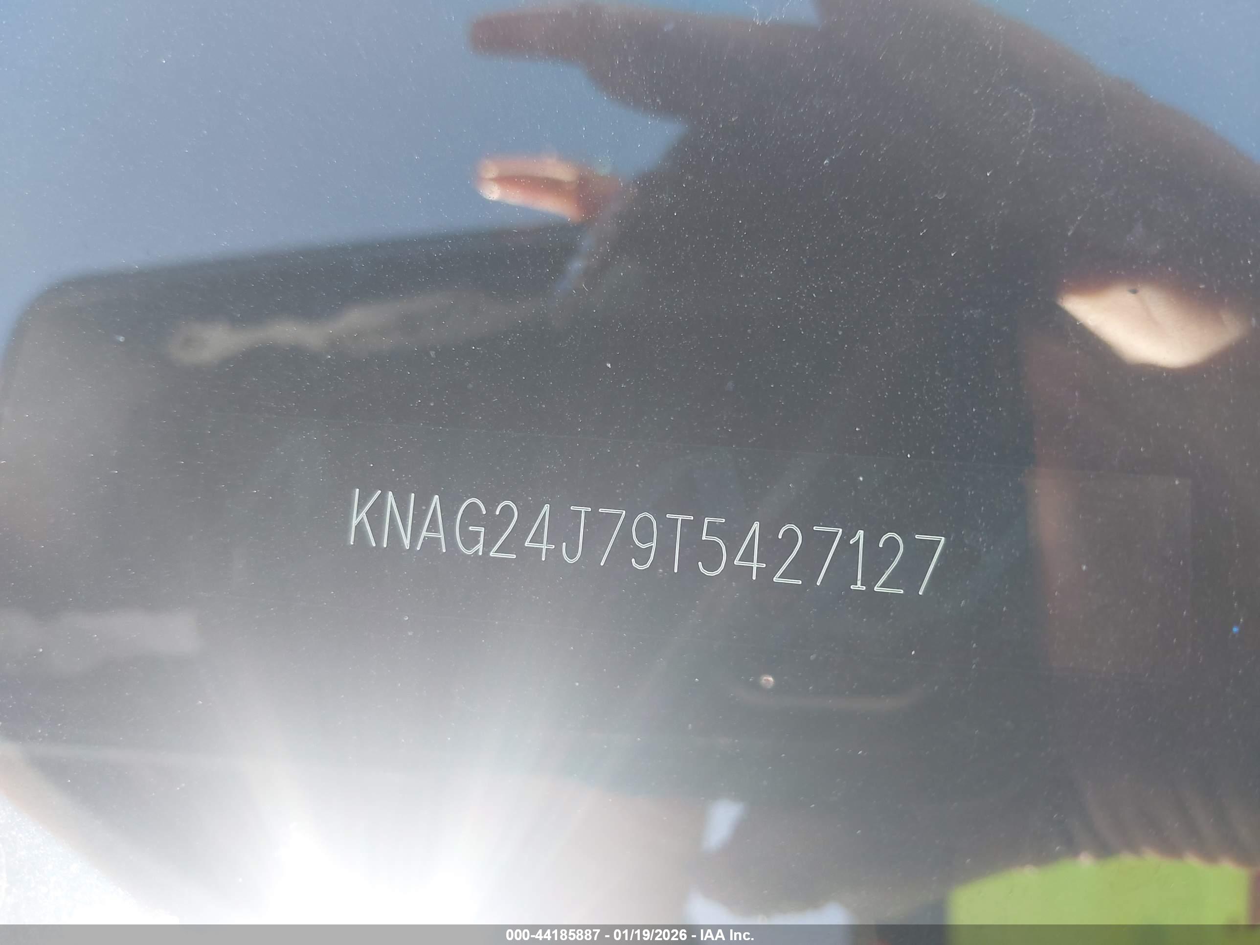 KIA K5 image 9
