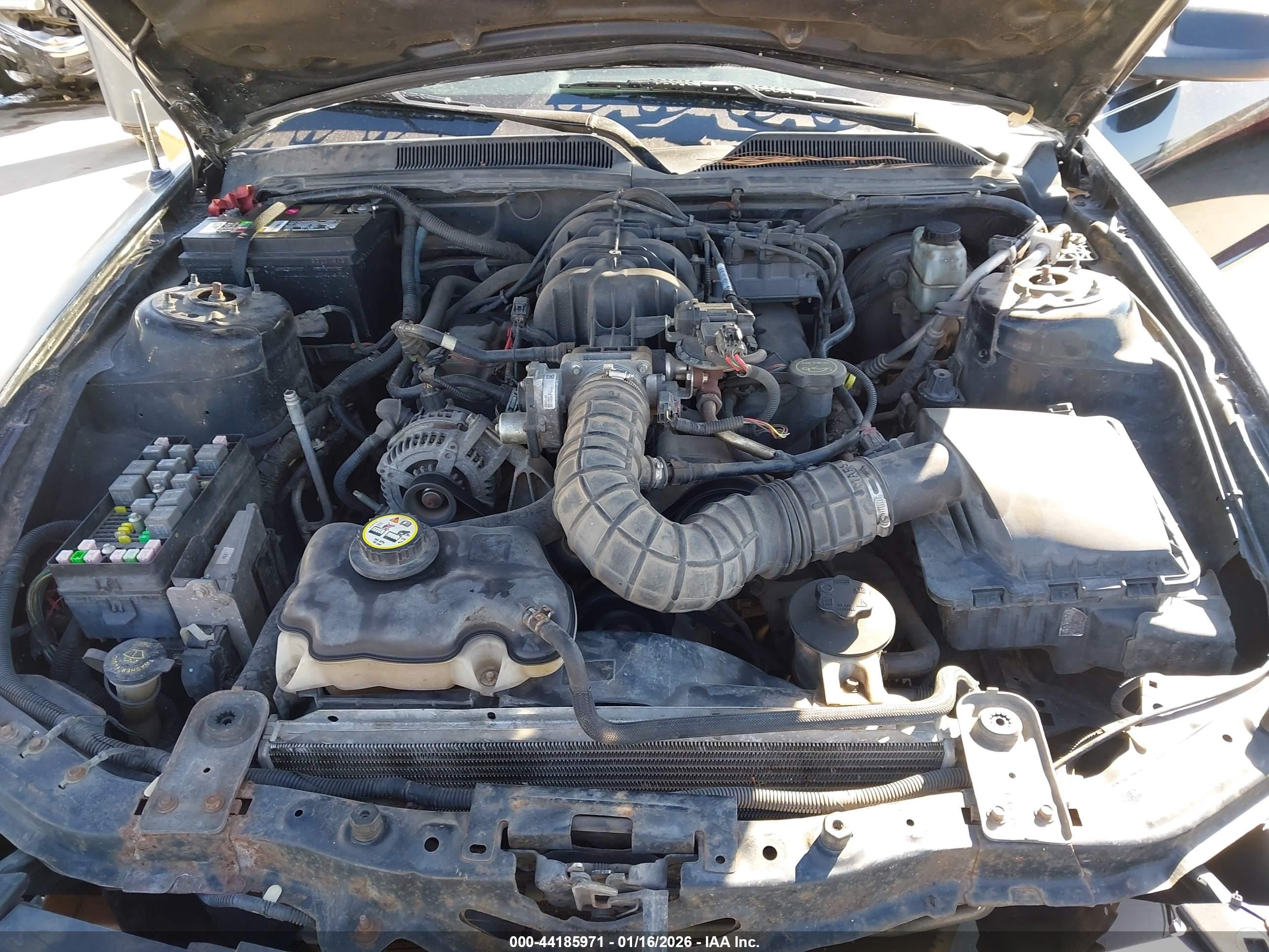 FORD MUSTANG image 10