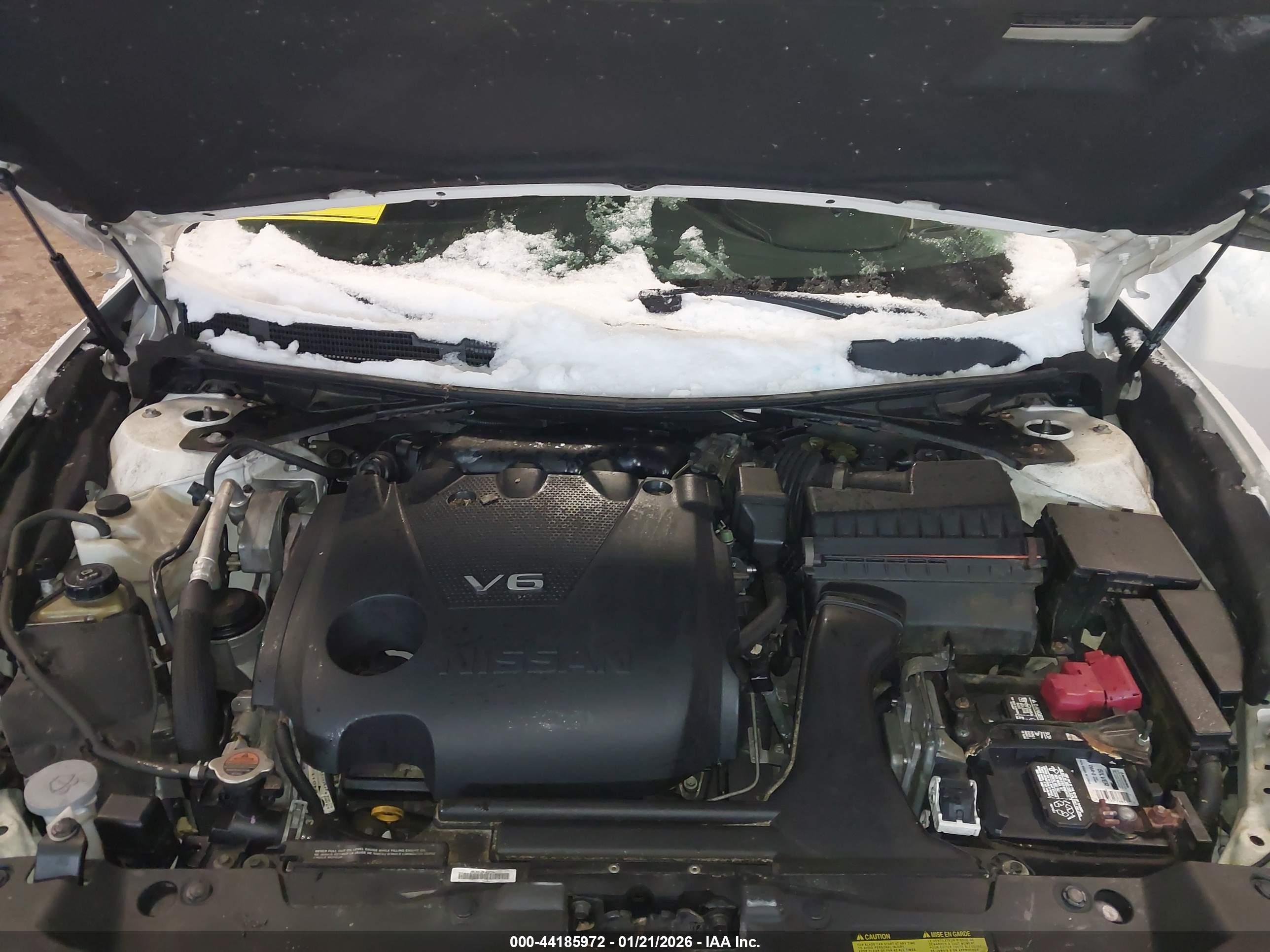 NISSAN MAXIMA image 10