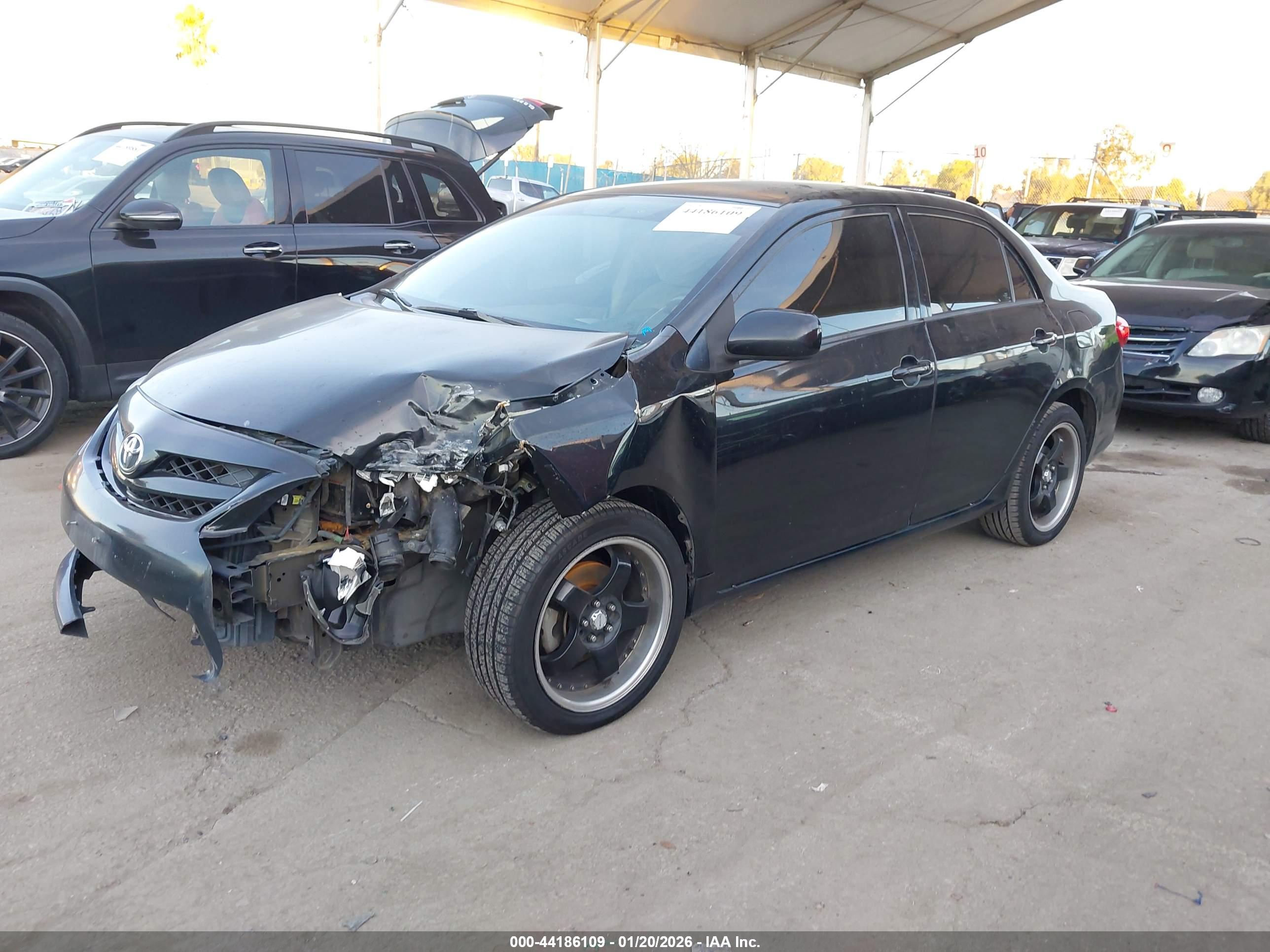 TOYOTA COROLLA image 2