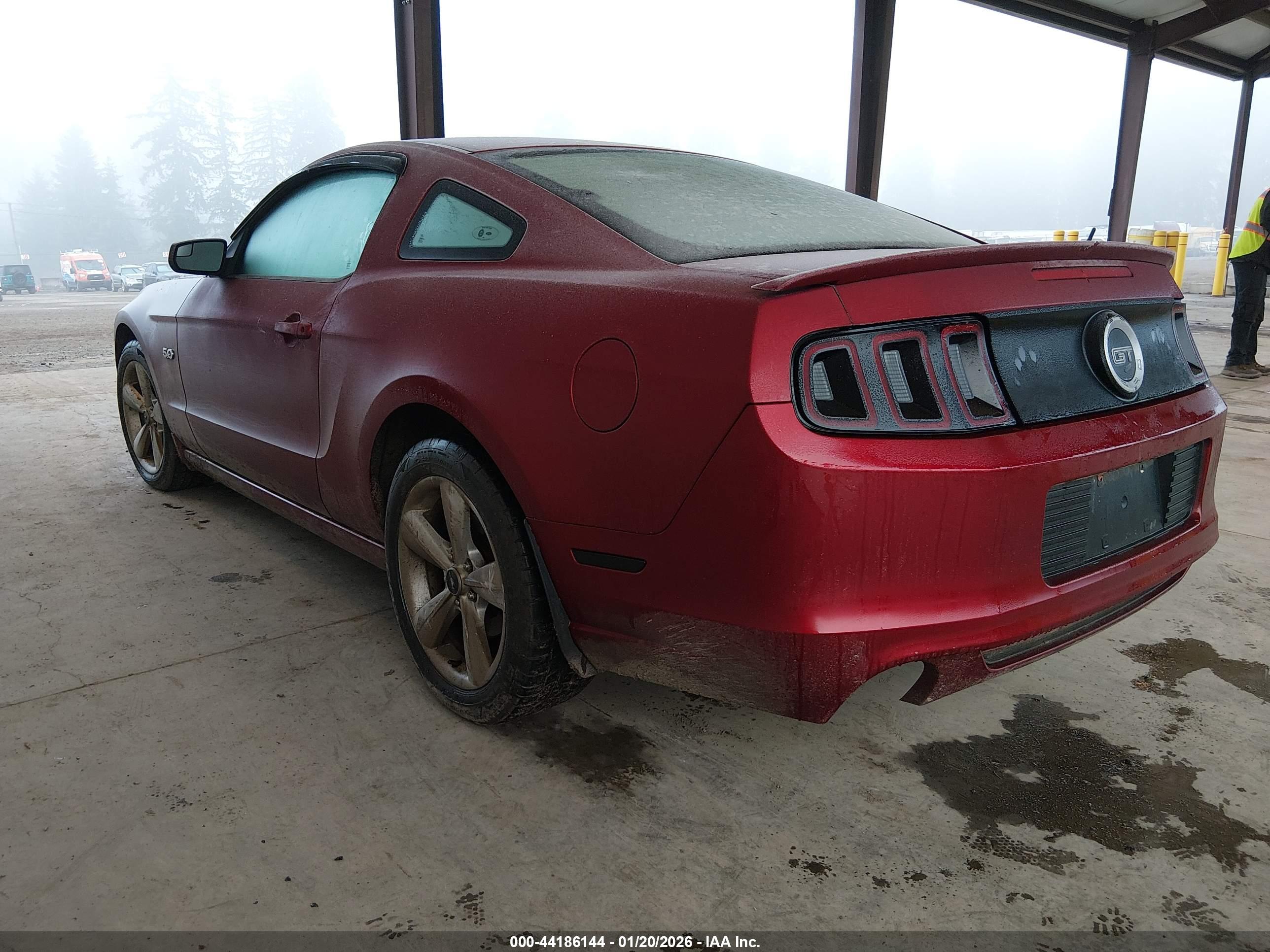 FORD MUSTANG image 3
