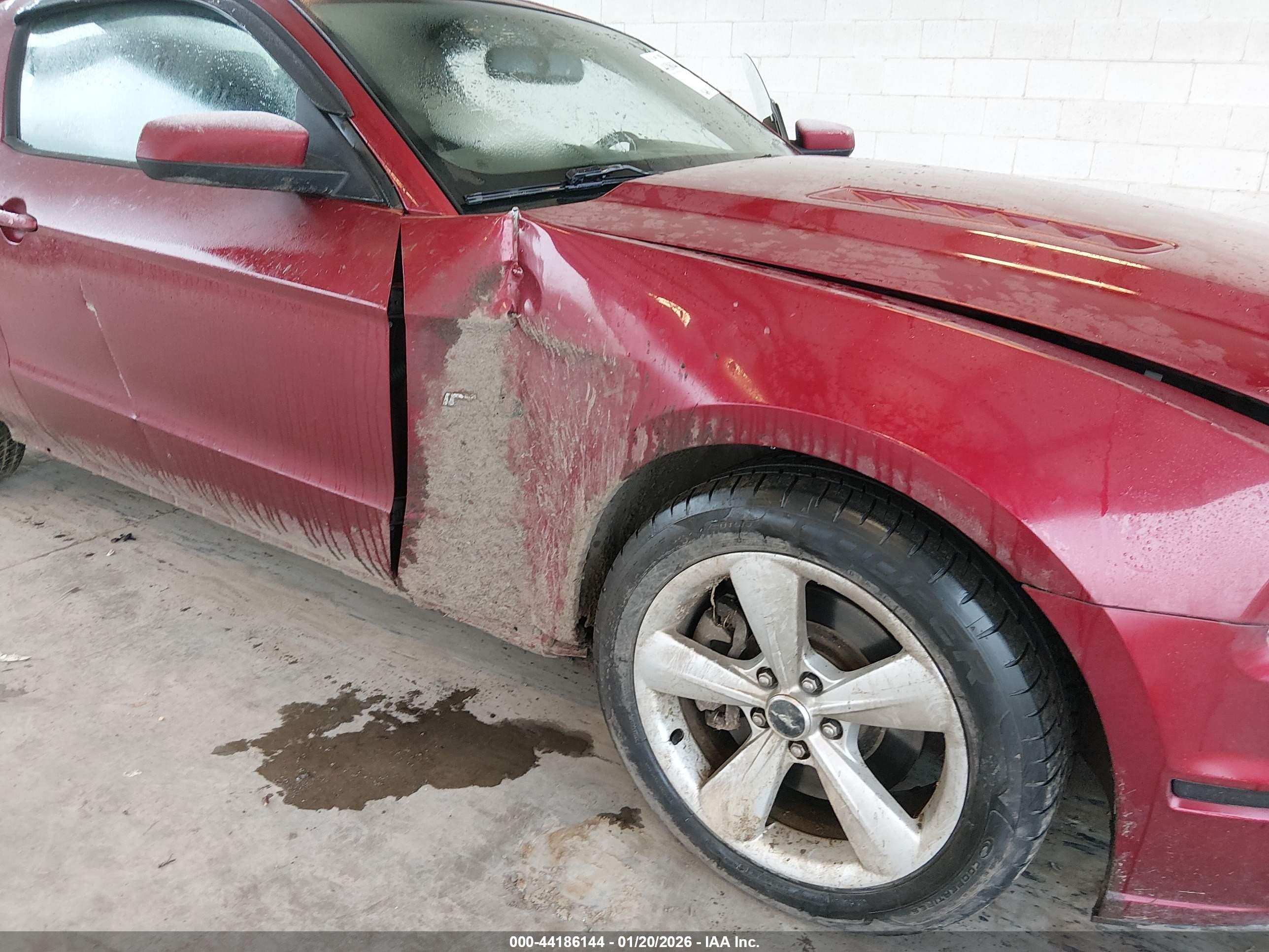 FORD MUSTANG image 6