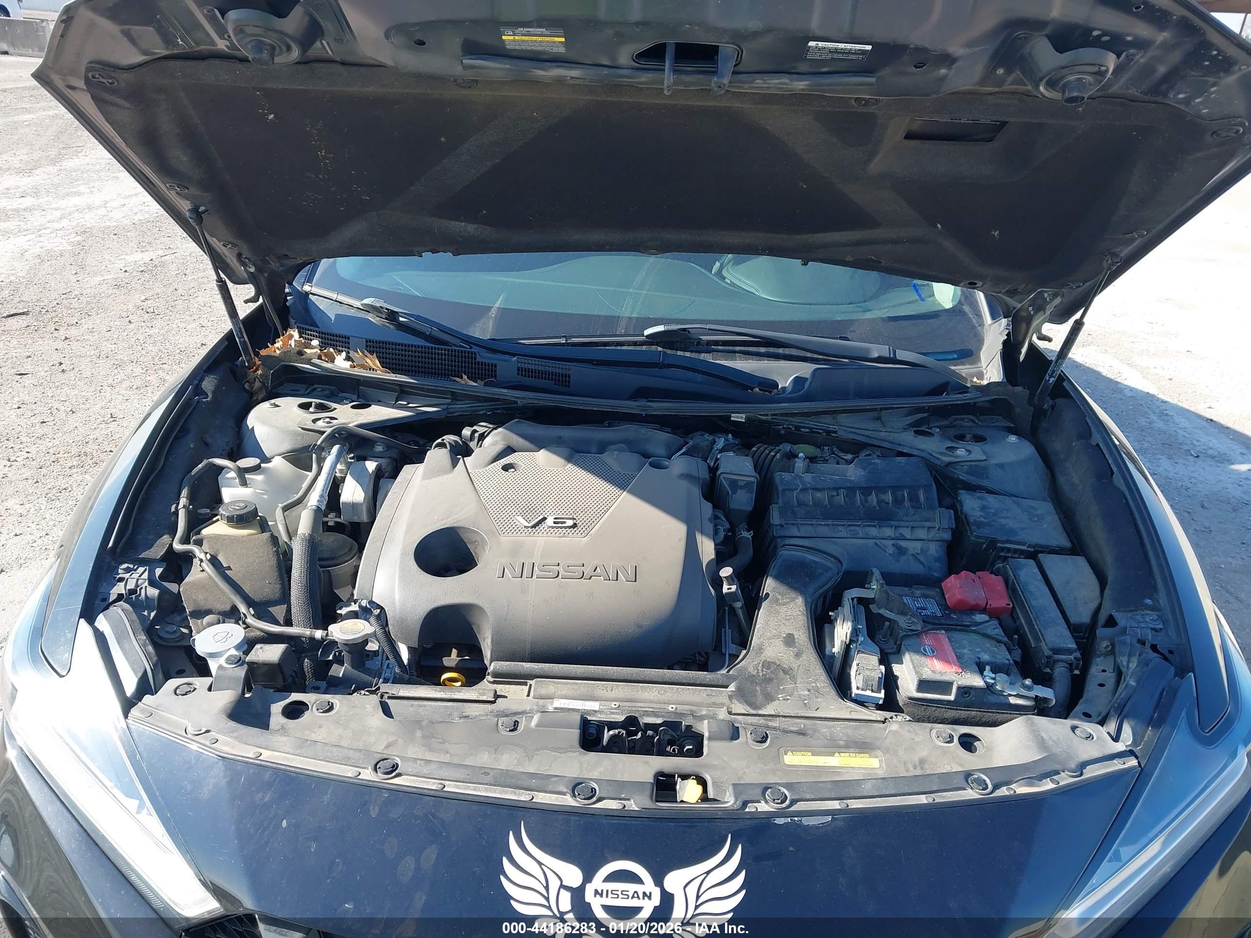 NISSAN MAXIMA image 10