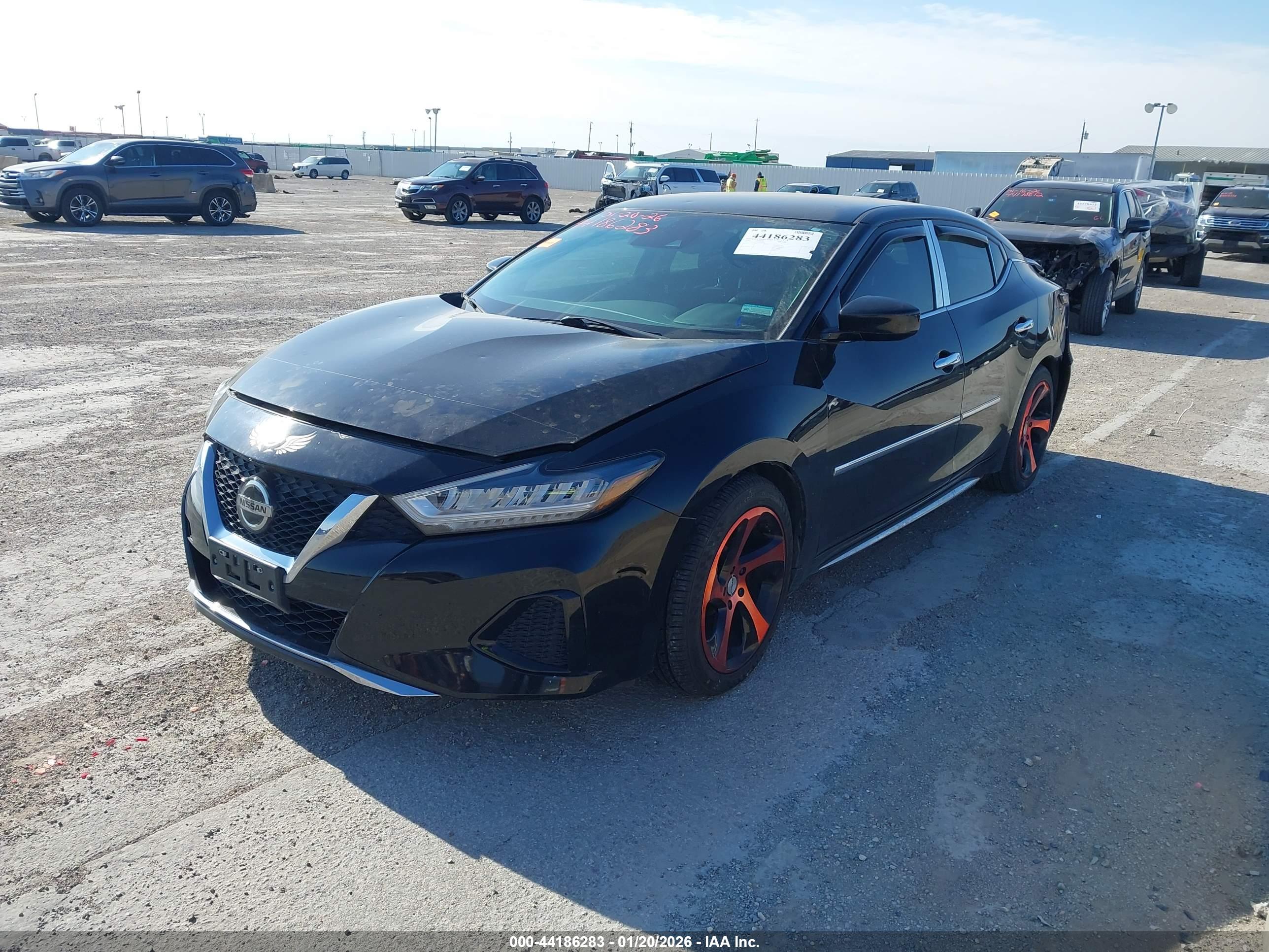 NISSAN MAXIMA image 2