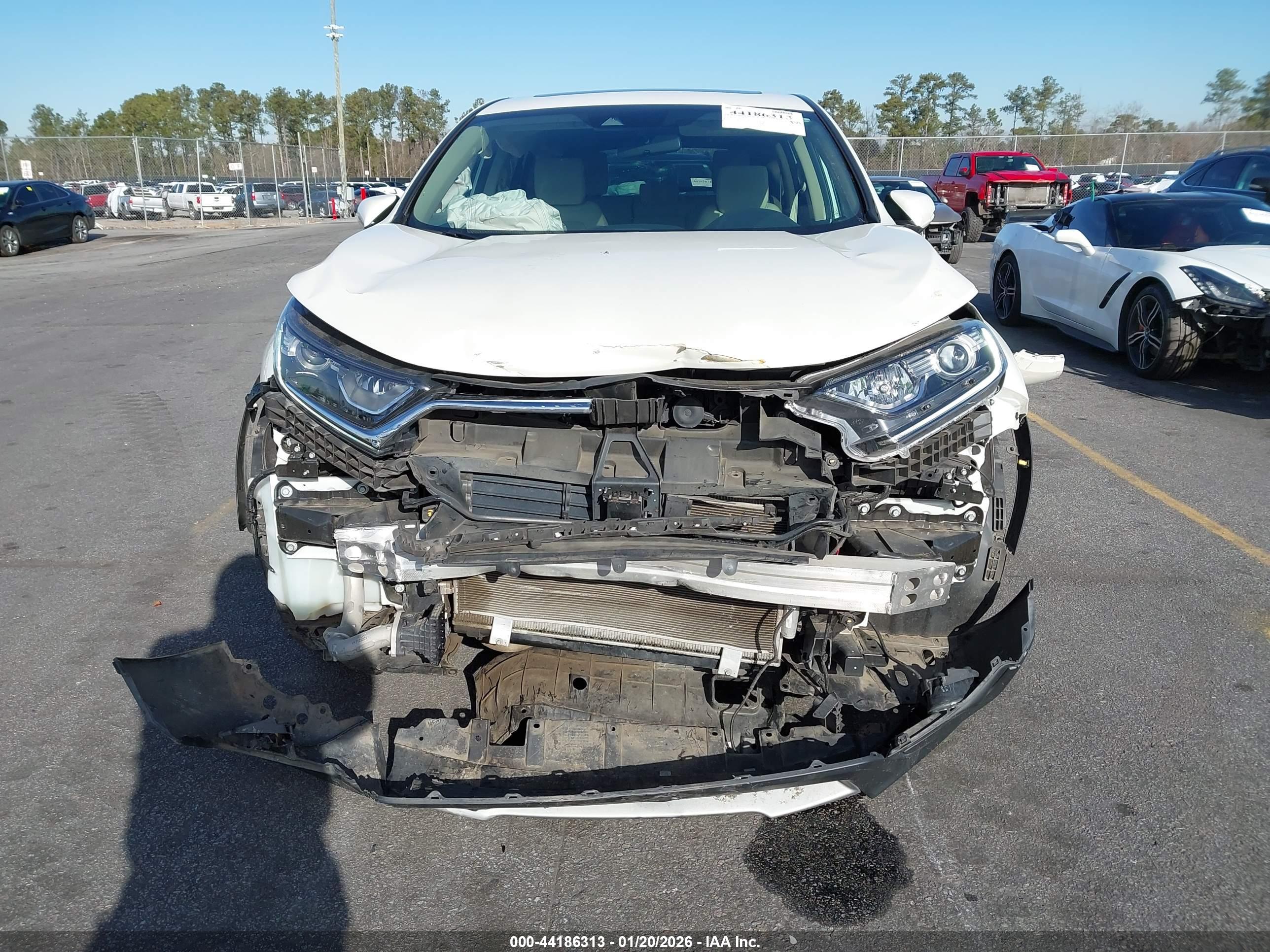 HONDA CR-V image 6