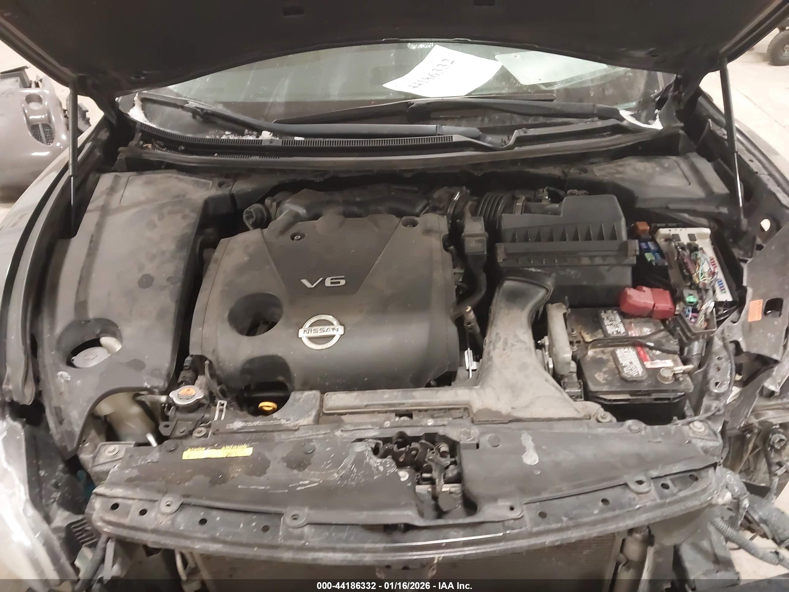 NISSAN MAXIMA image 10