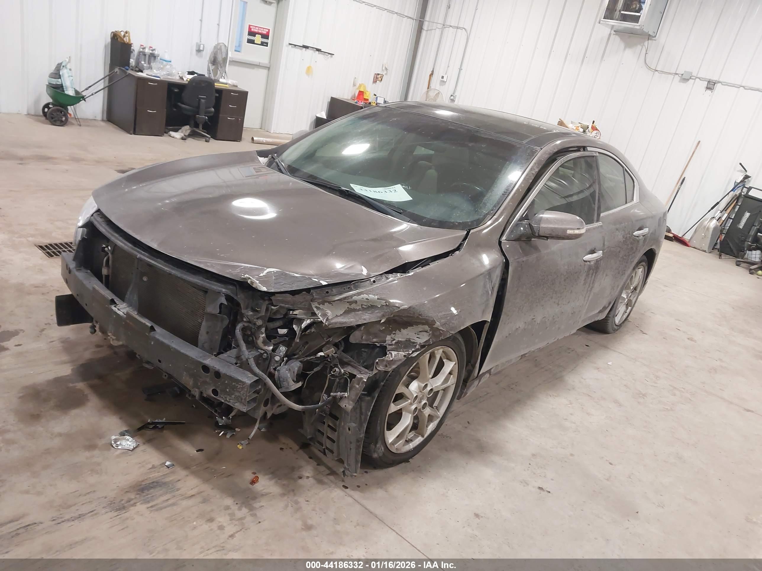 NISSAN MAXIMA image 2