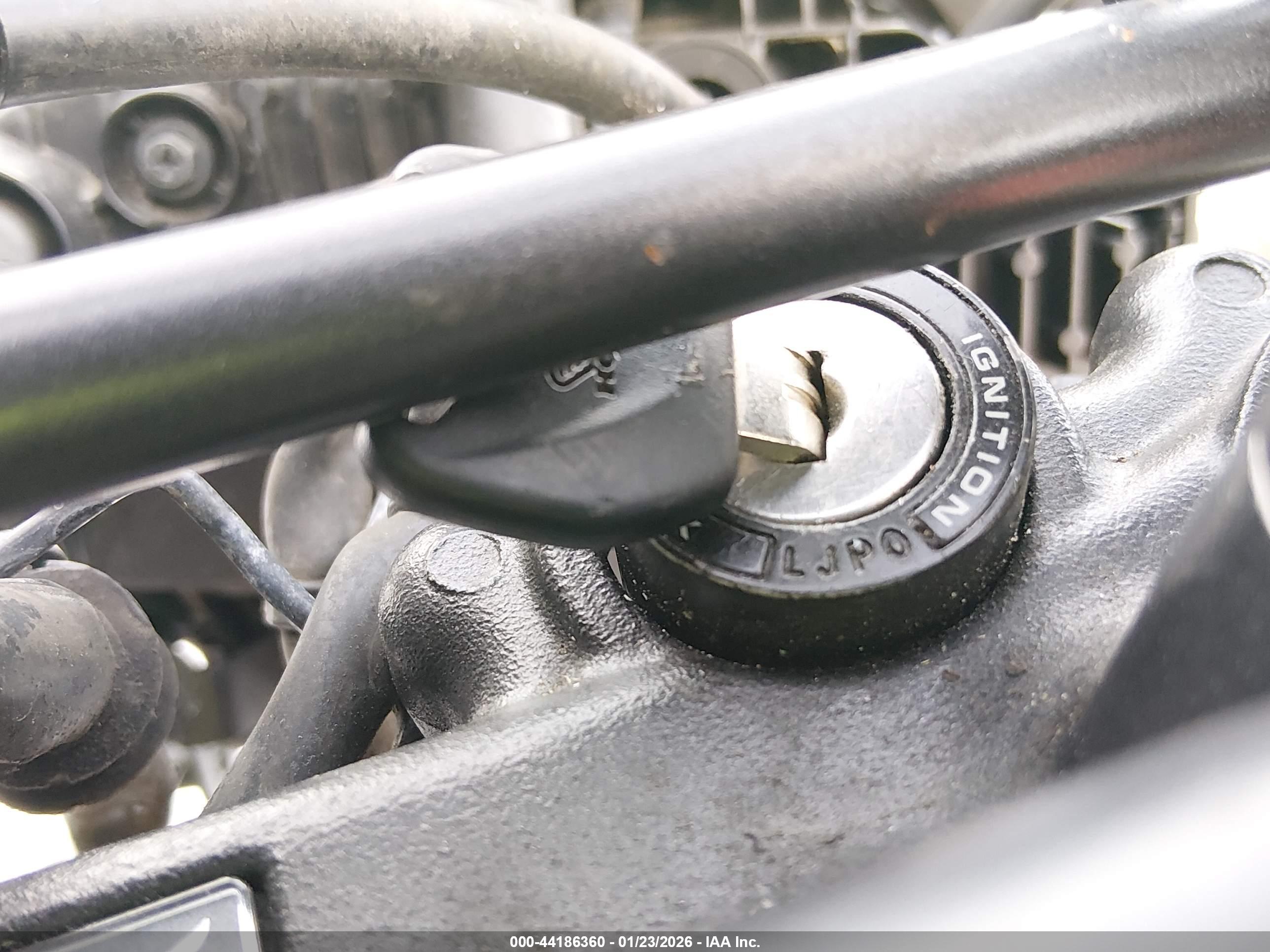 HONDA CRF250 image 11