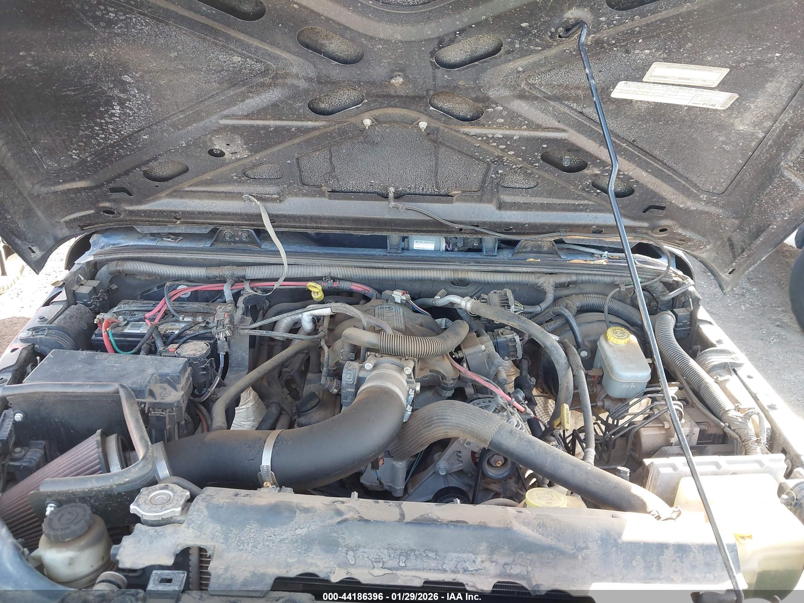 JEEP WRANGLER image 10