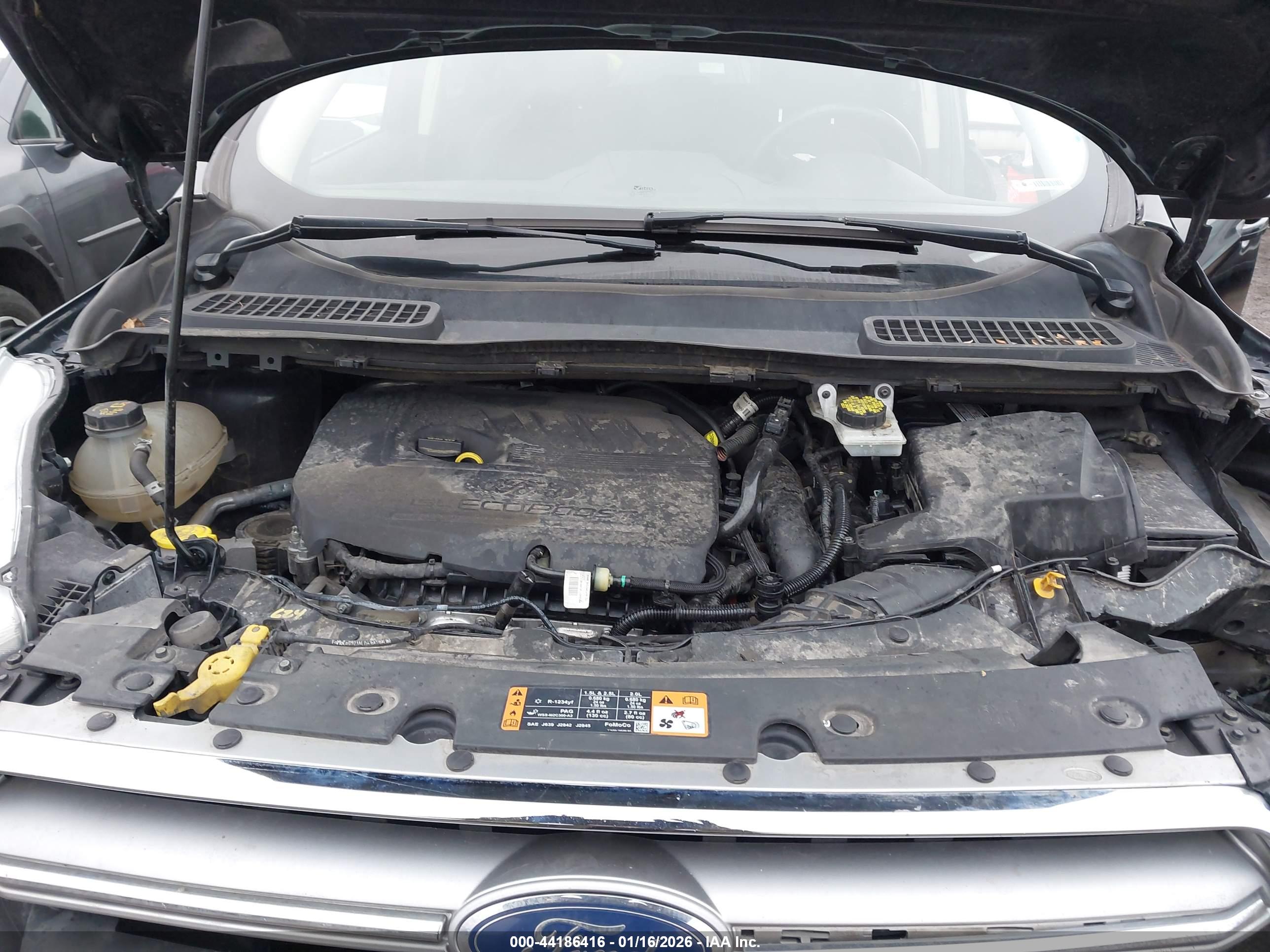 FORD ESCAPE image 10