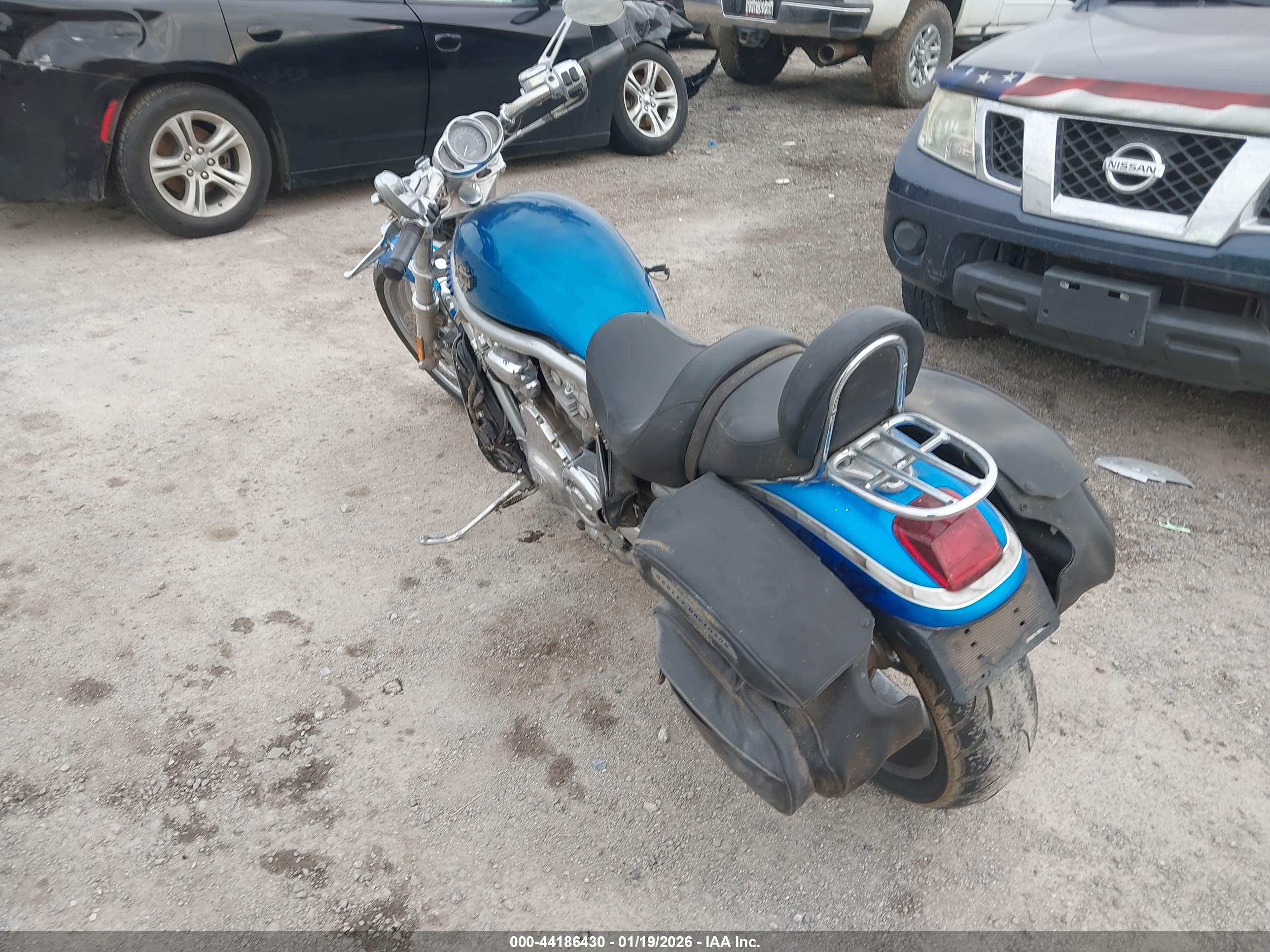 HARLEY-DAVIDSON VRSCA image 3