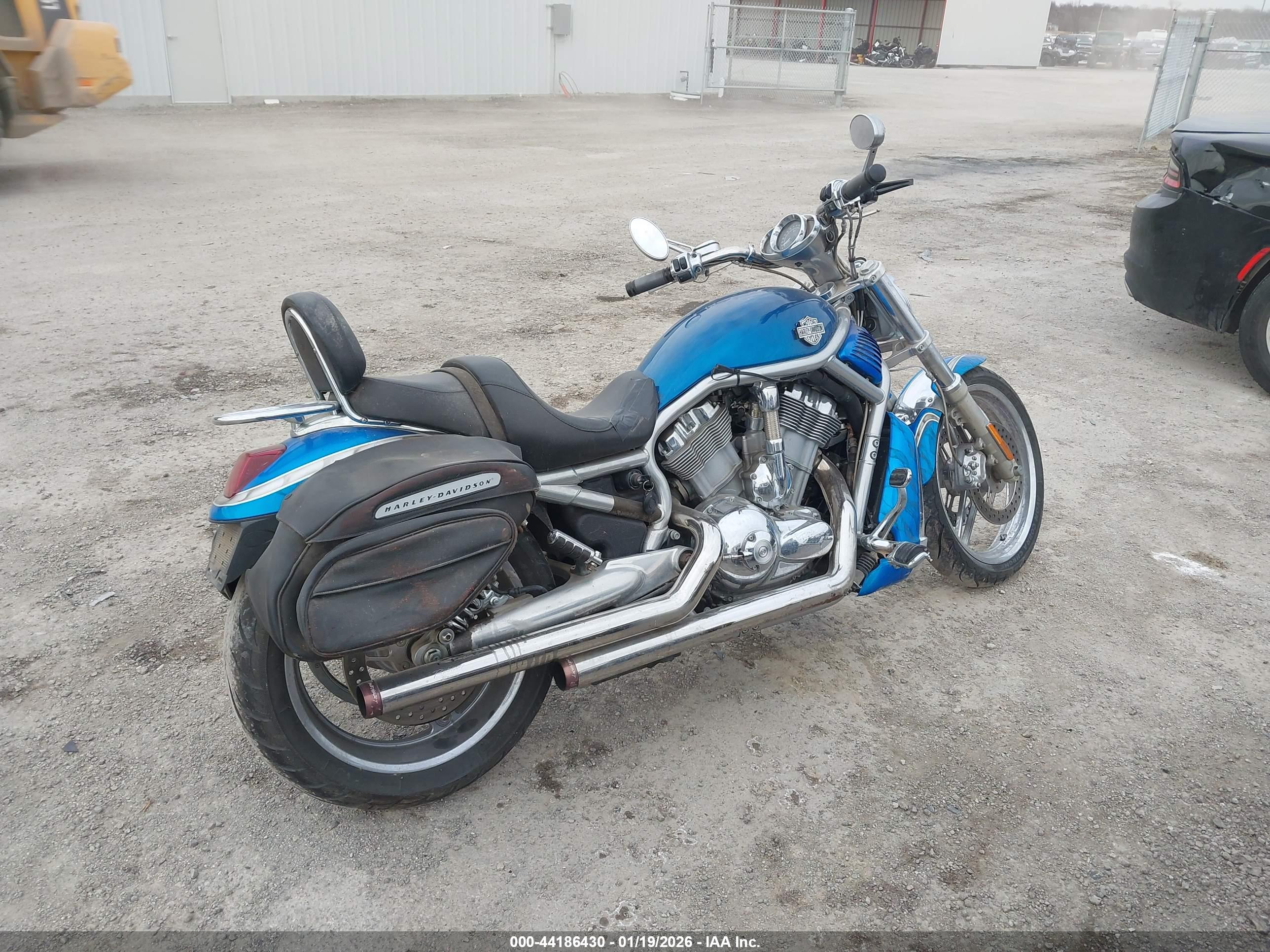 HARLEY-DAVIDSON VRSCA image 4