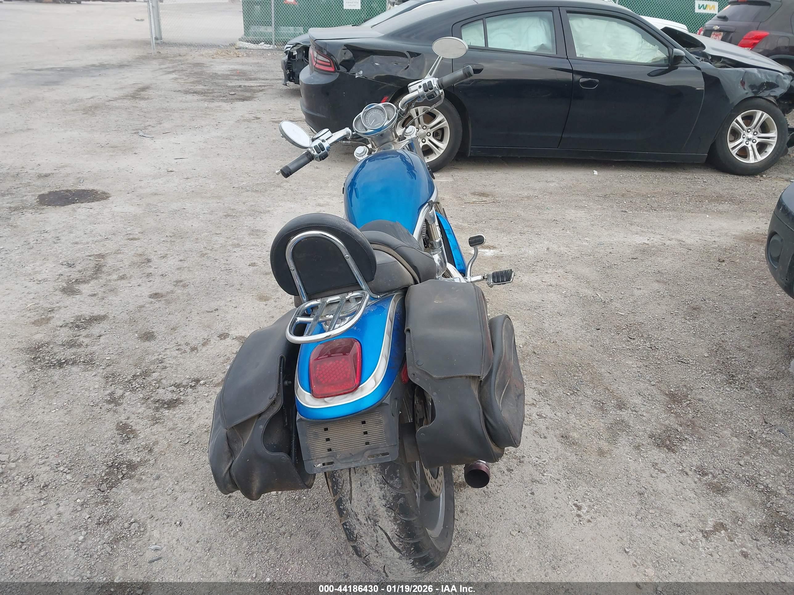HARLEY-DAVIDSON VRSCA image 6