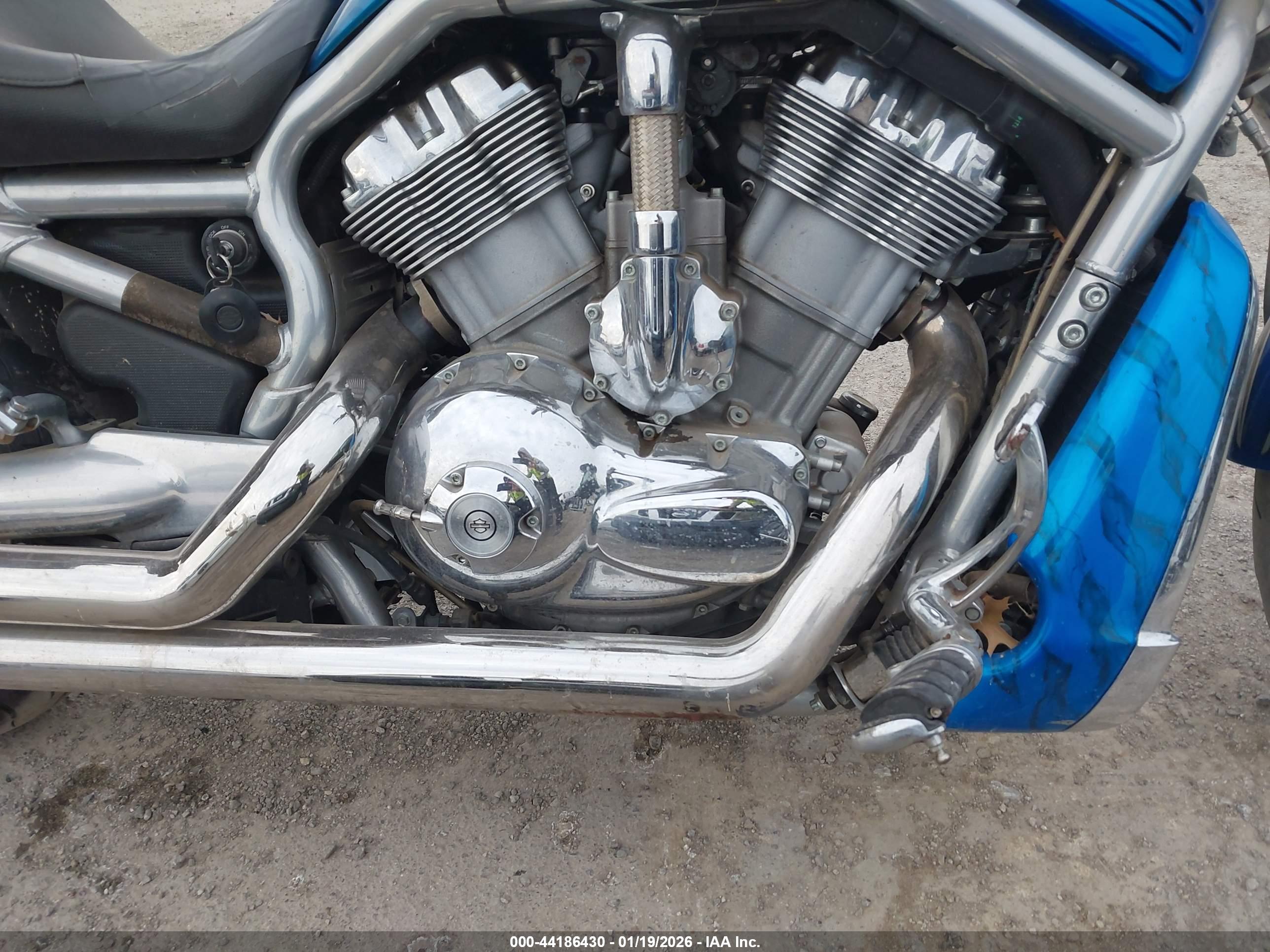 HARLEY-DAVIDSON VRSCA image 8